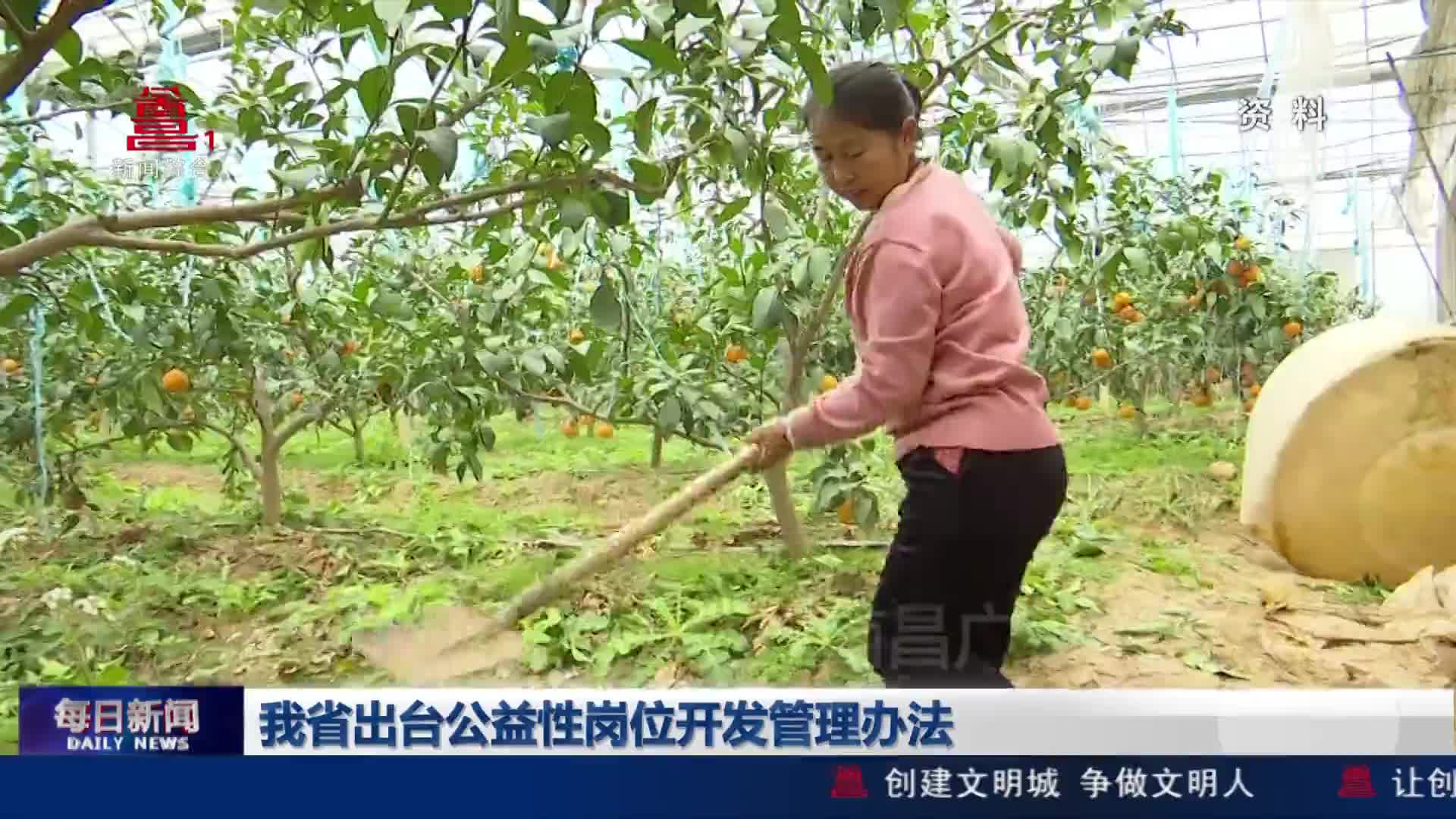 我省出台公益性岗位开发管理办法