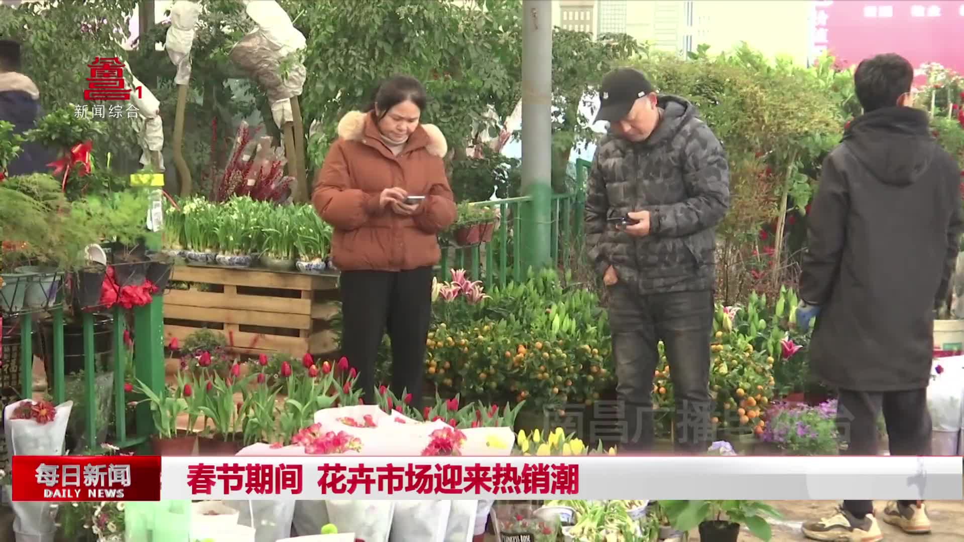 锦绣中国年| 春节期间 花卉市场迎来热销潮
