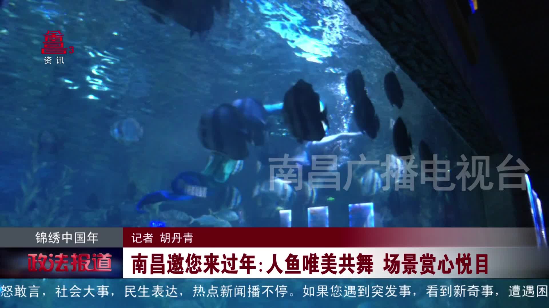 南昌邀您来过年：人鱼唯美共舞 场景赏心悦目