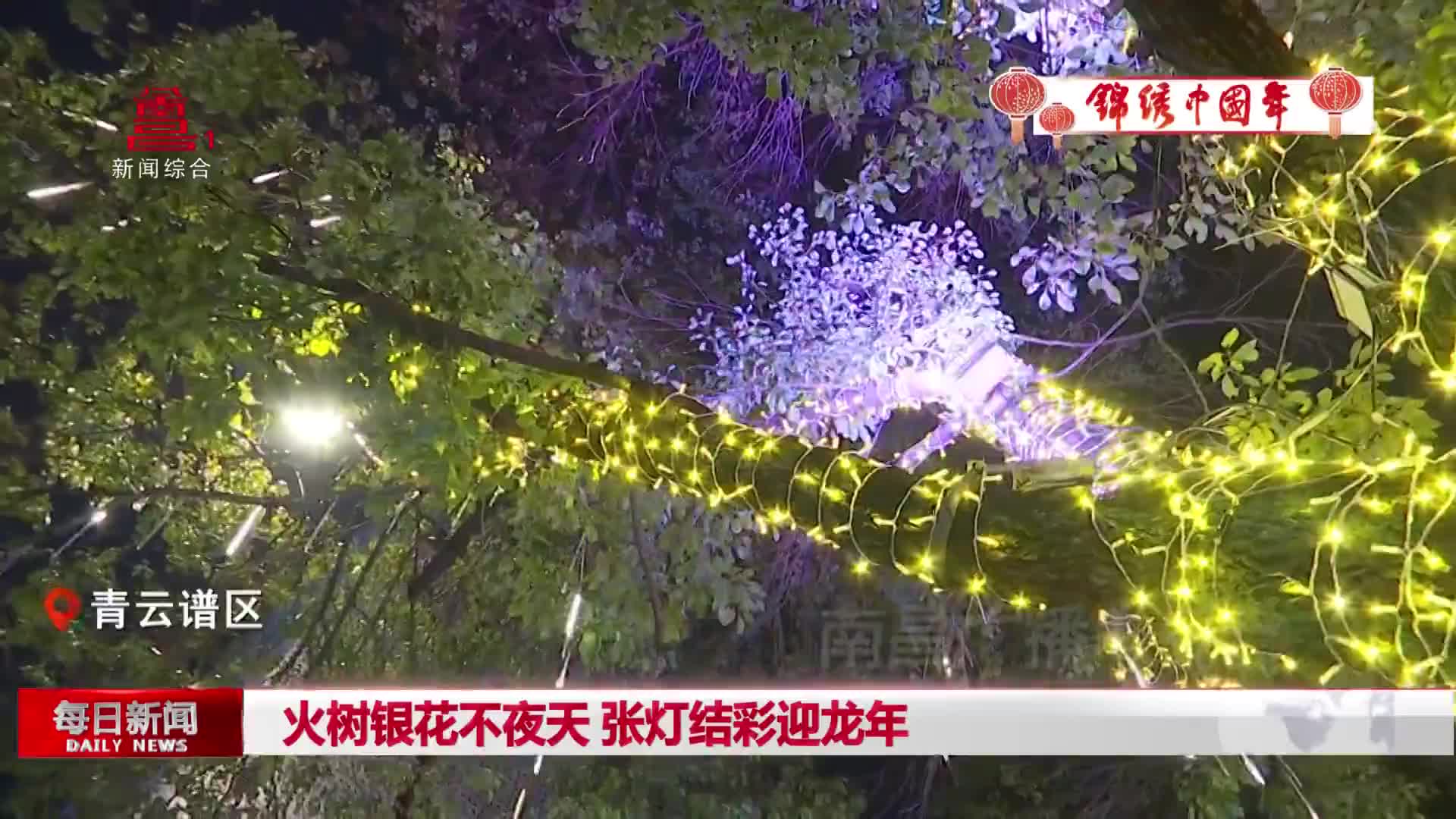 火树银花不夜天 张灯结彩迎龙年