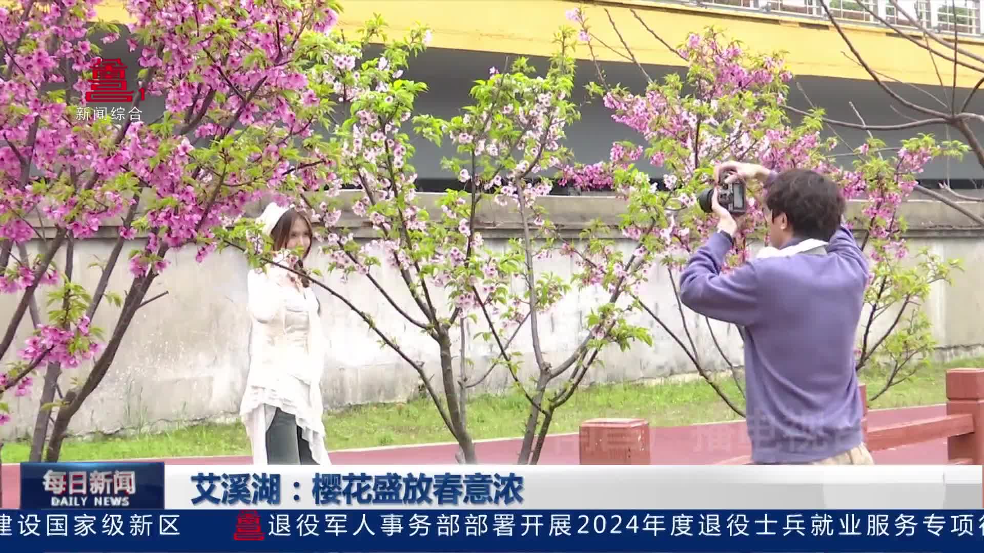 艾溪湖：樱花盛放春意浓