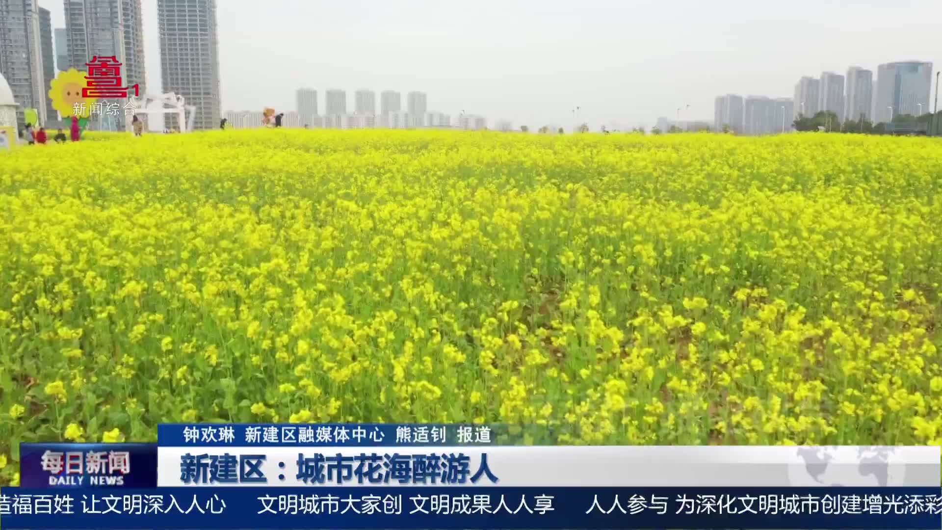 新建区：城市花海醉游人