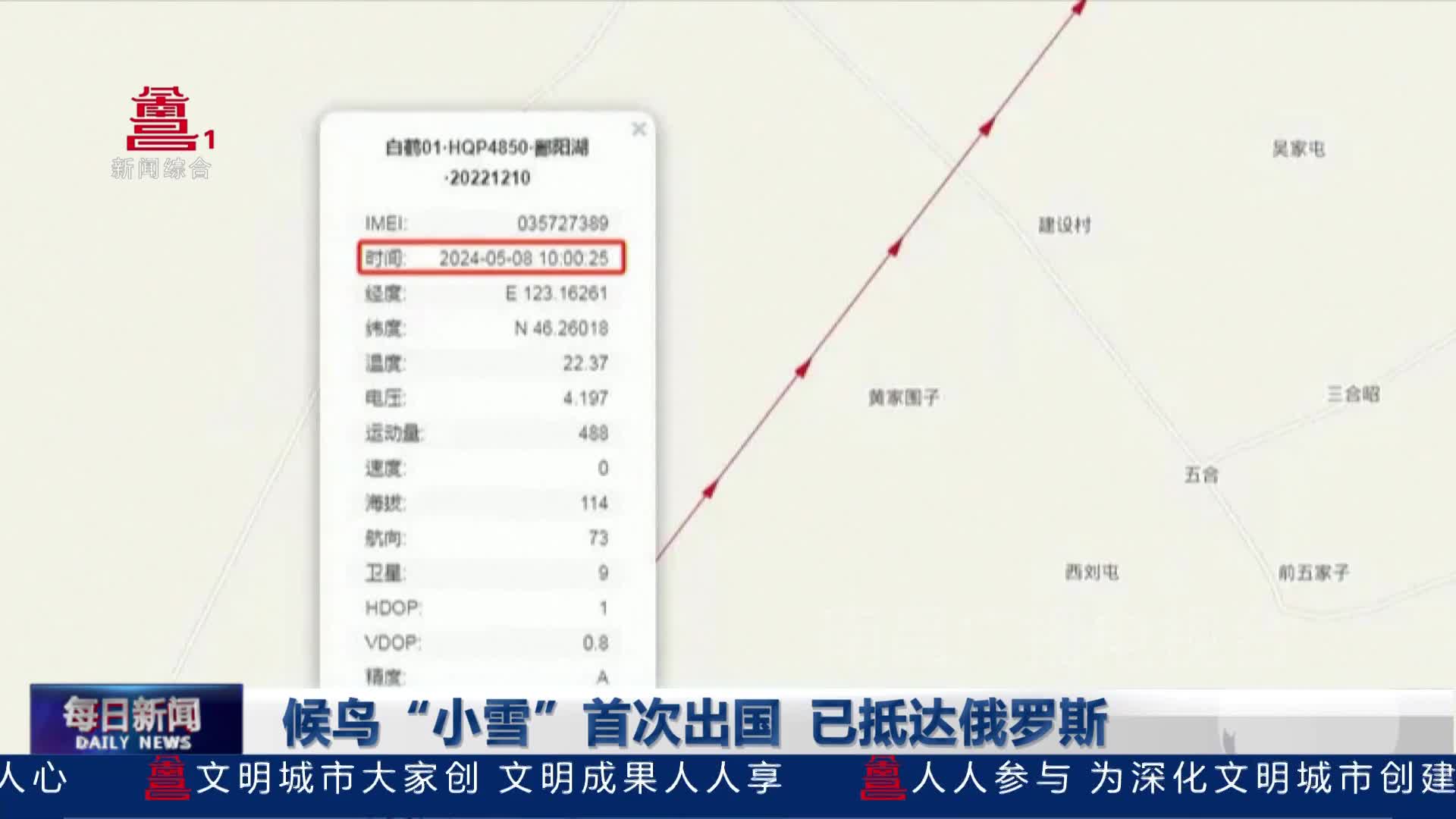 候鸟“小雪”首次出国   已抵达俄罗斯
