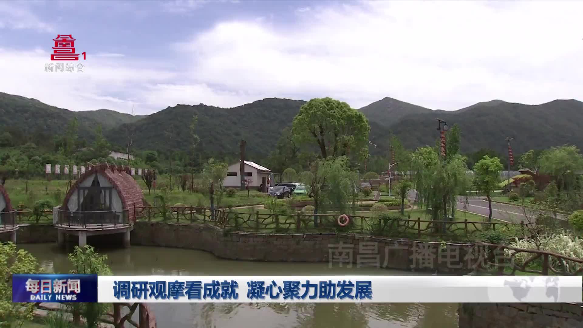 调研观摩看成就 凝心聚力助发展