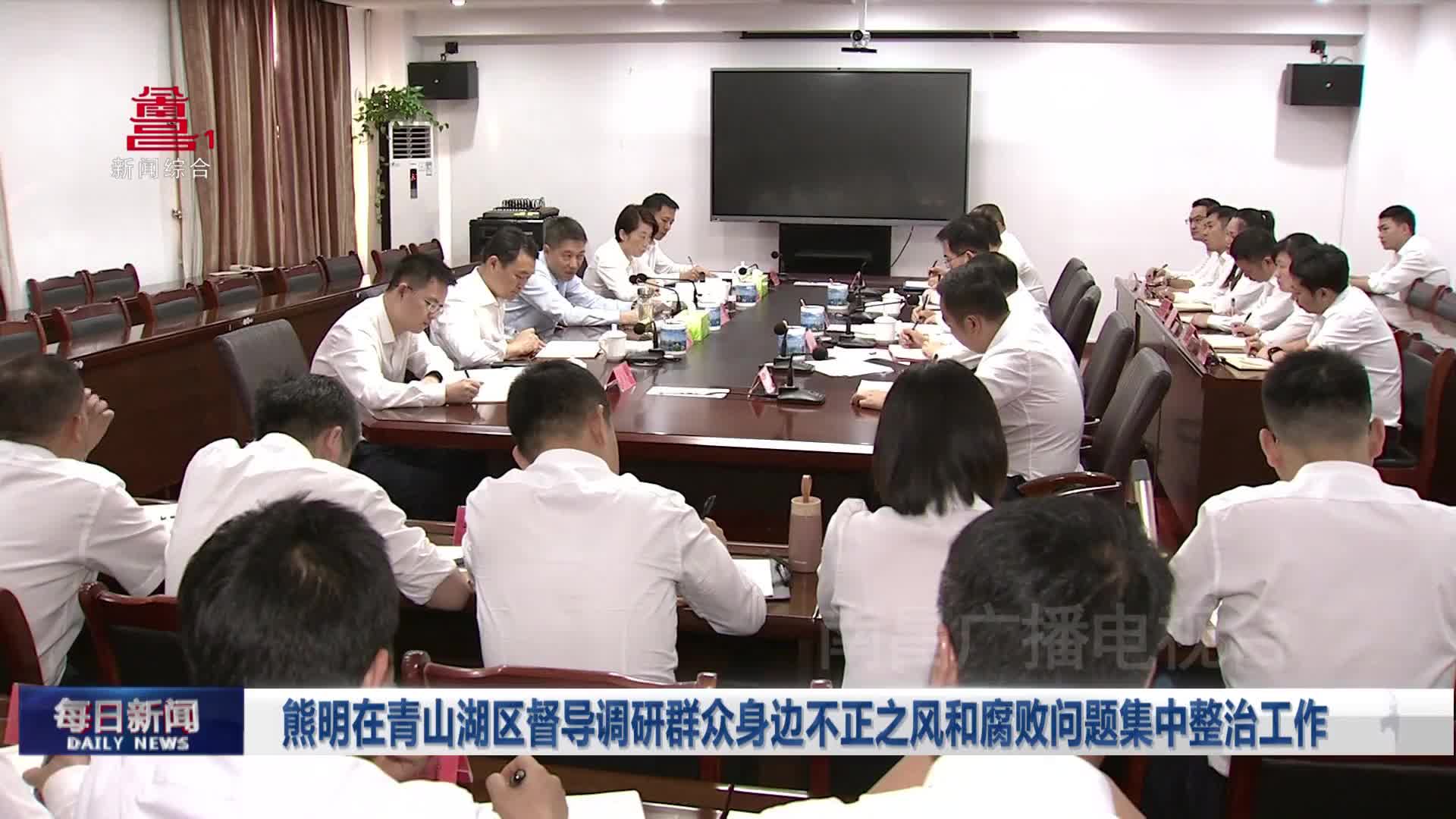 熊明在青山湖区督导调研群众身边不正之风和腐败问题集中整治工作