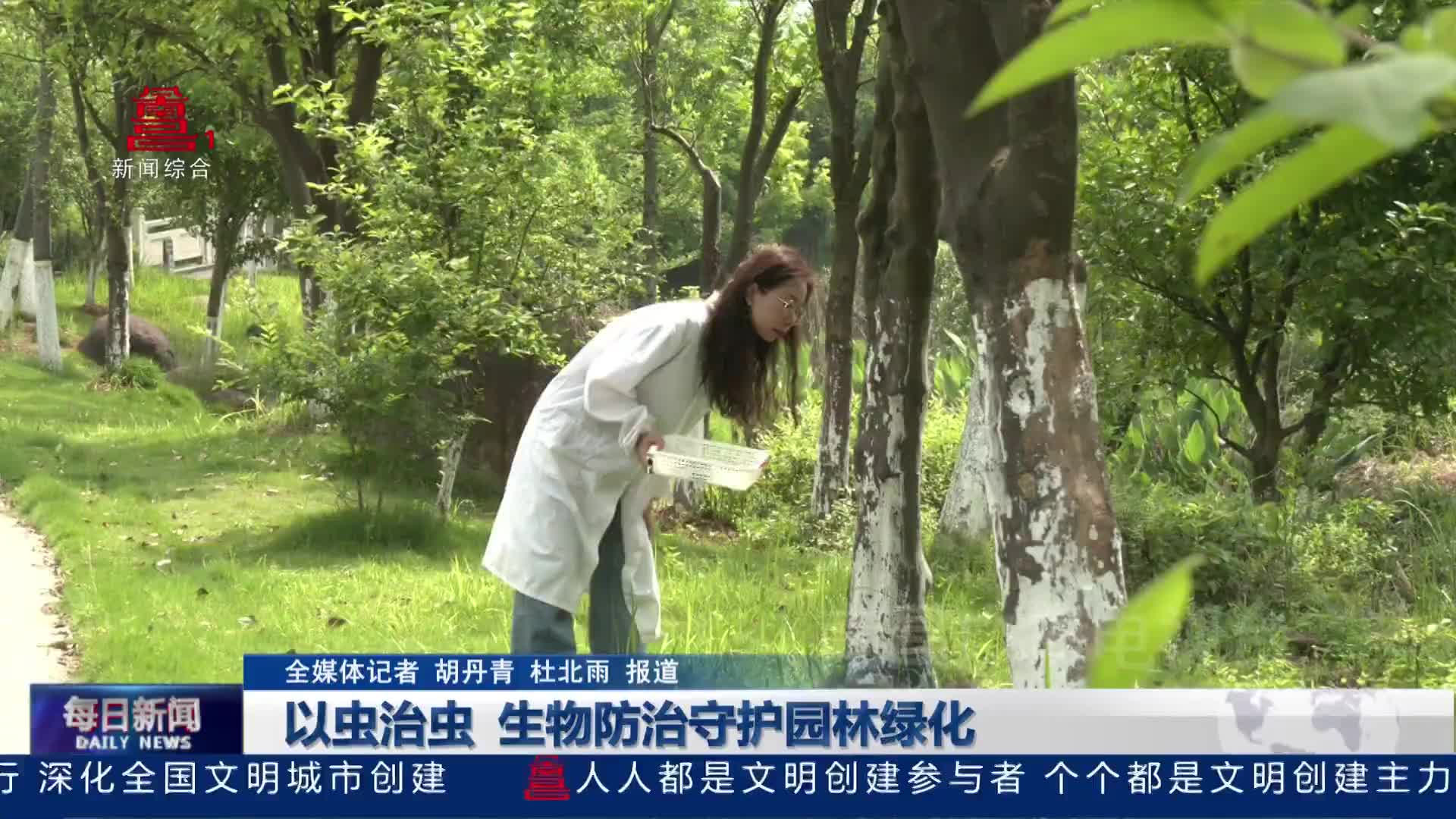 以虫治虫 生物防治守护园林绿化