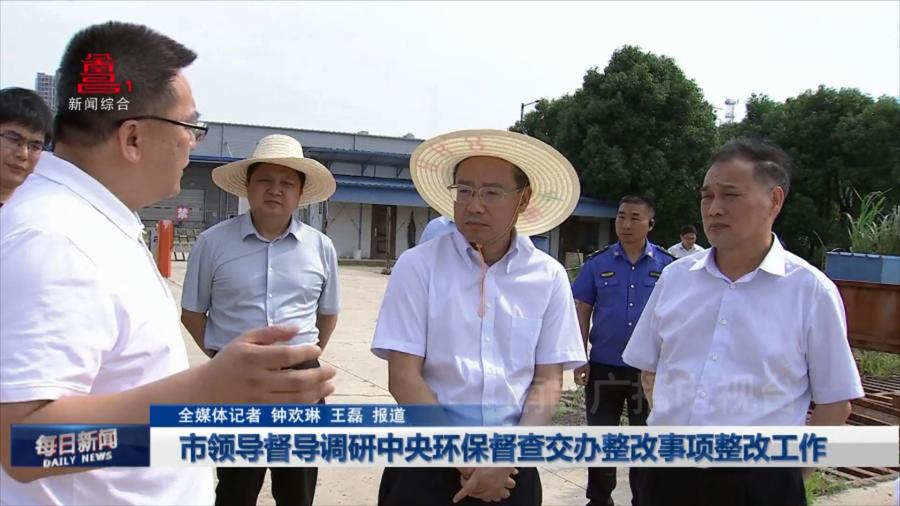 市领导督导调研中央环保督查交办整改事项整改工作