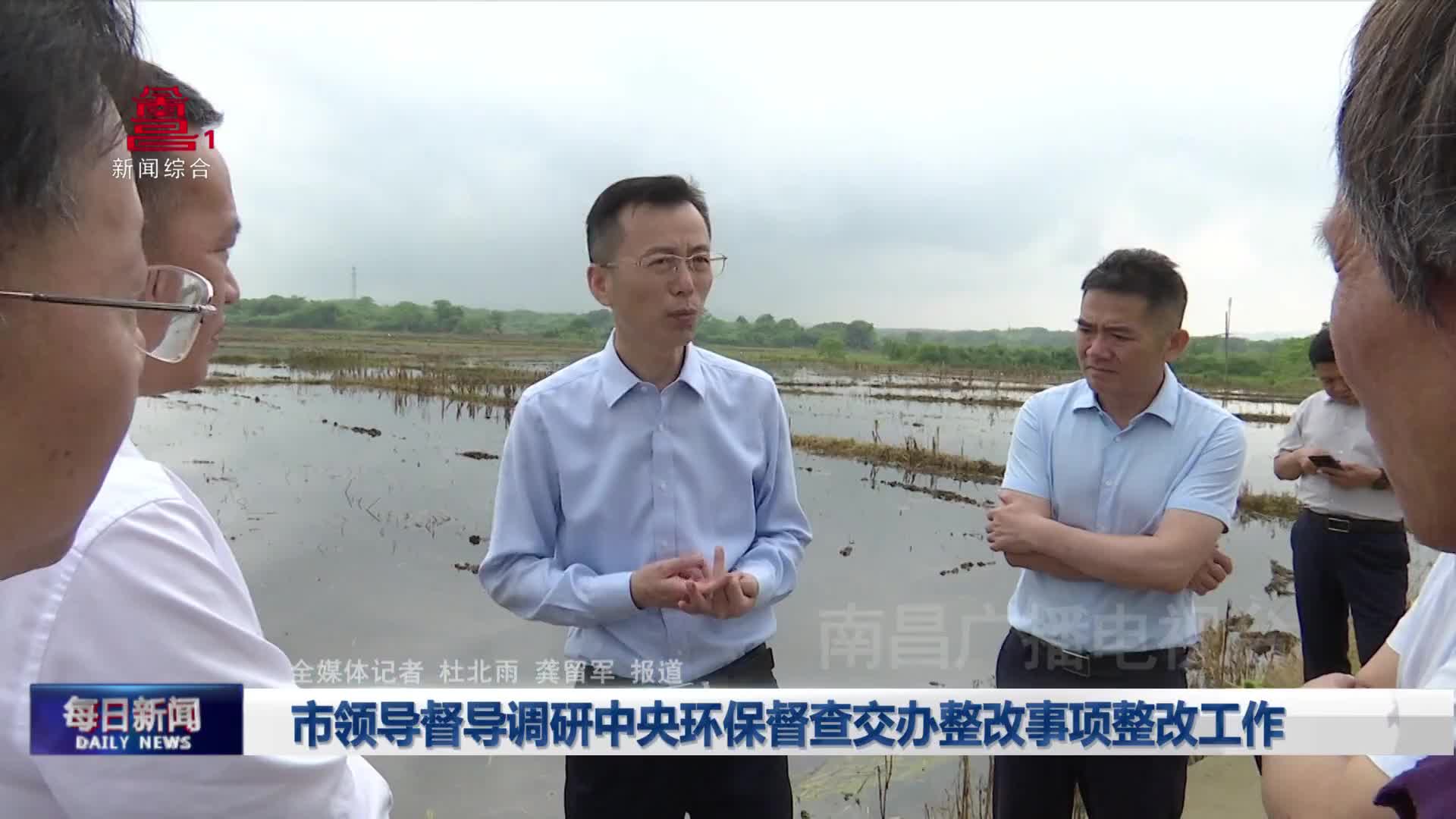 市领导督导调研中央环保督查交办整改事项整改工作