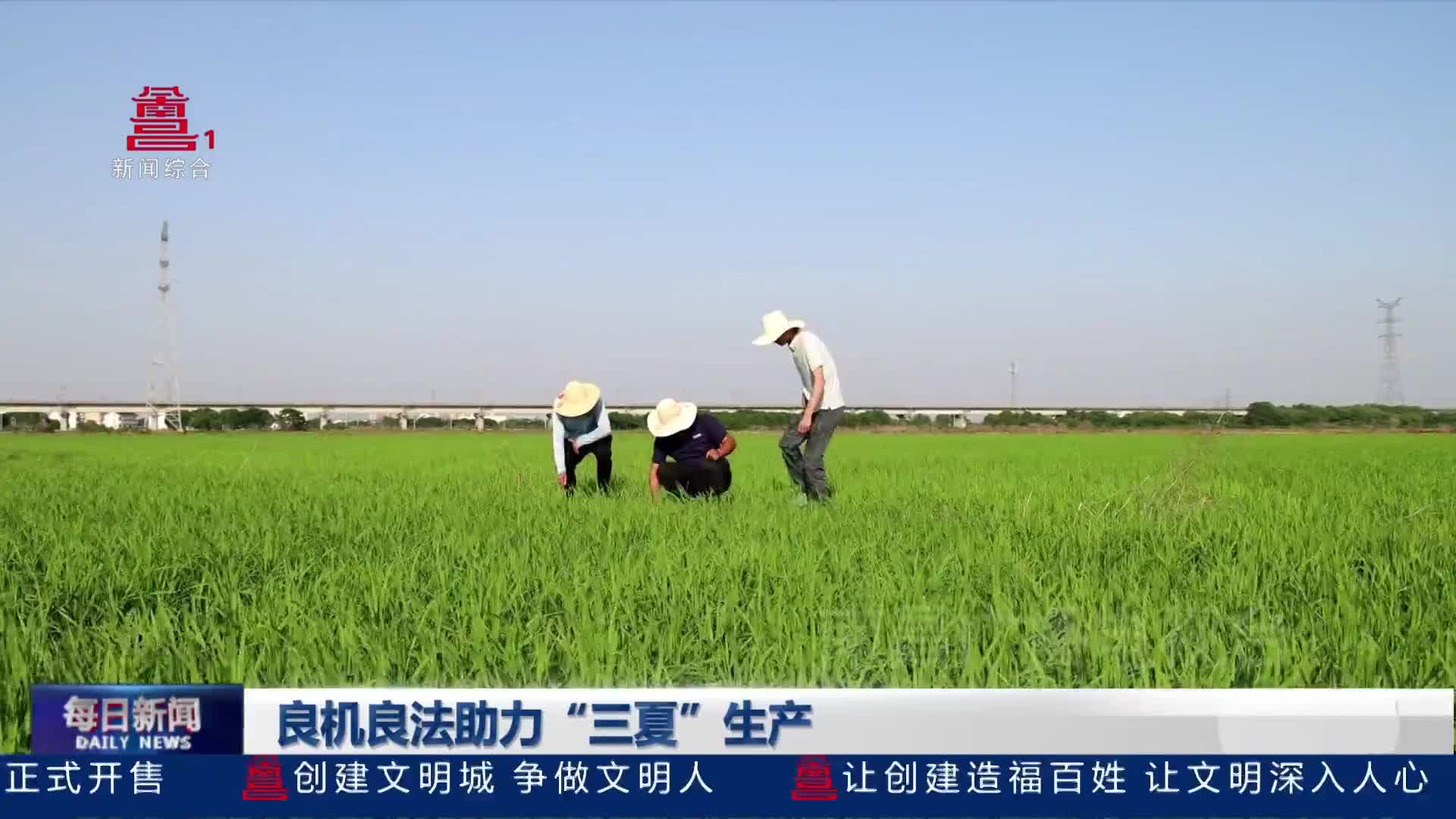 良机良法助力“三夏”生产
