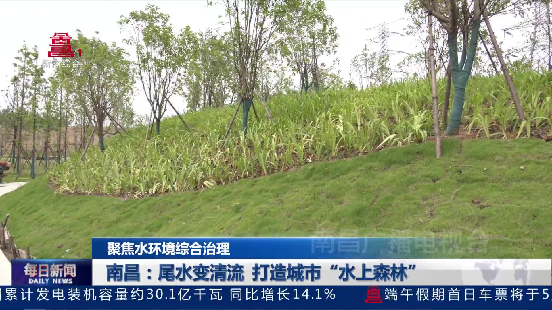 南昌：尾水变清流 打造城市“水上森林”