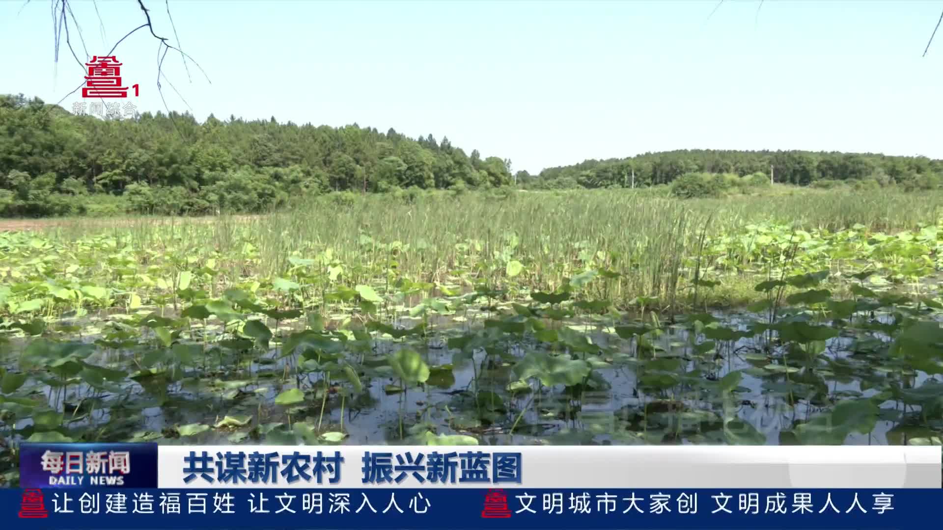 共谋新农村 振兴新蓝图