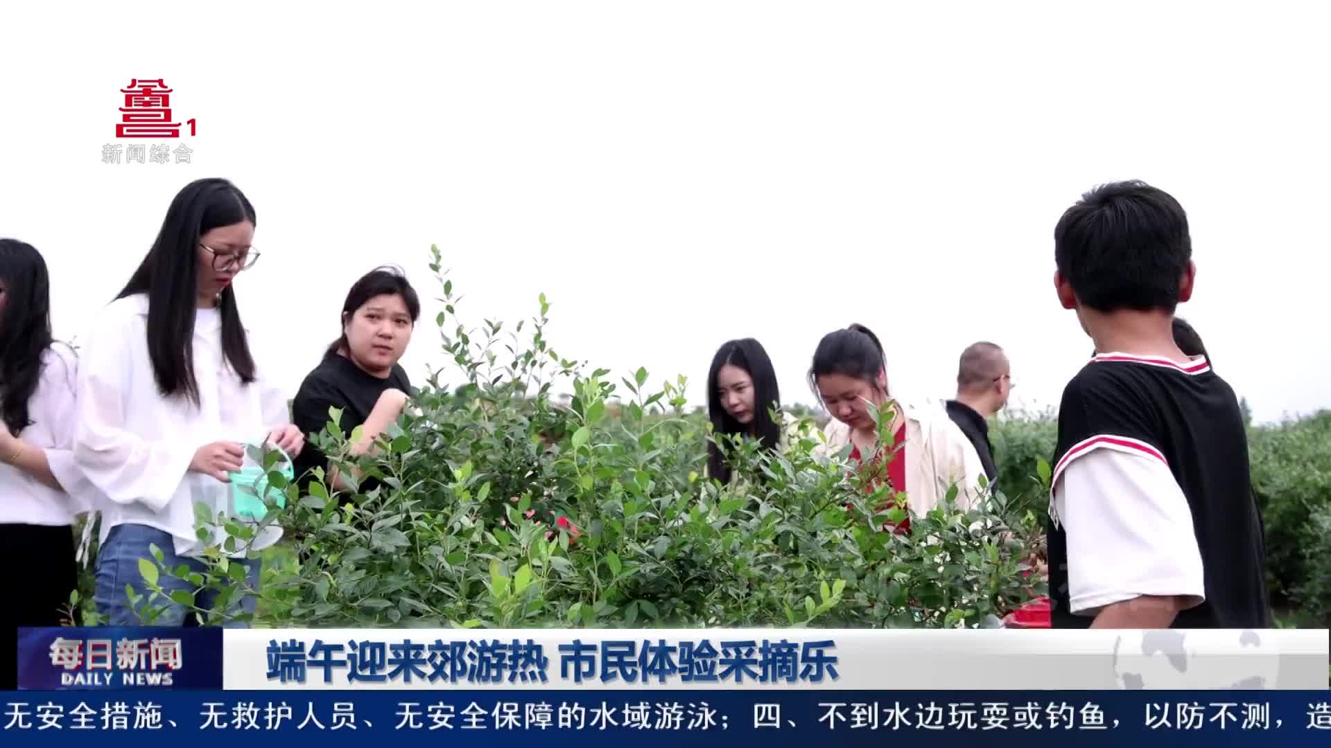 端午迎来郊游热 市民体验采摘乐