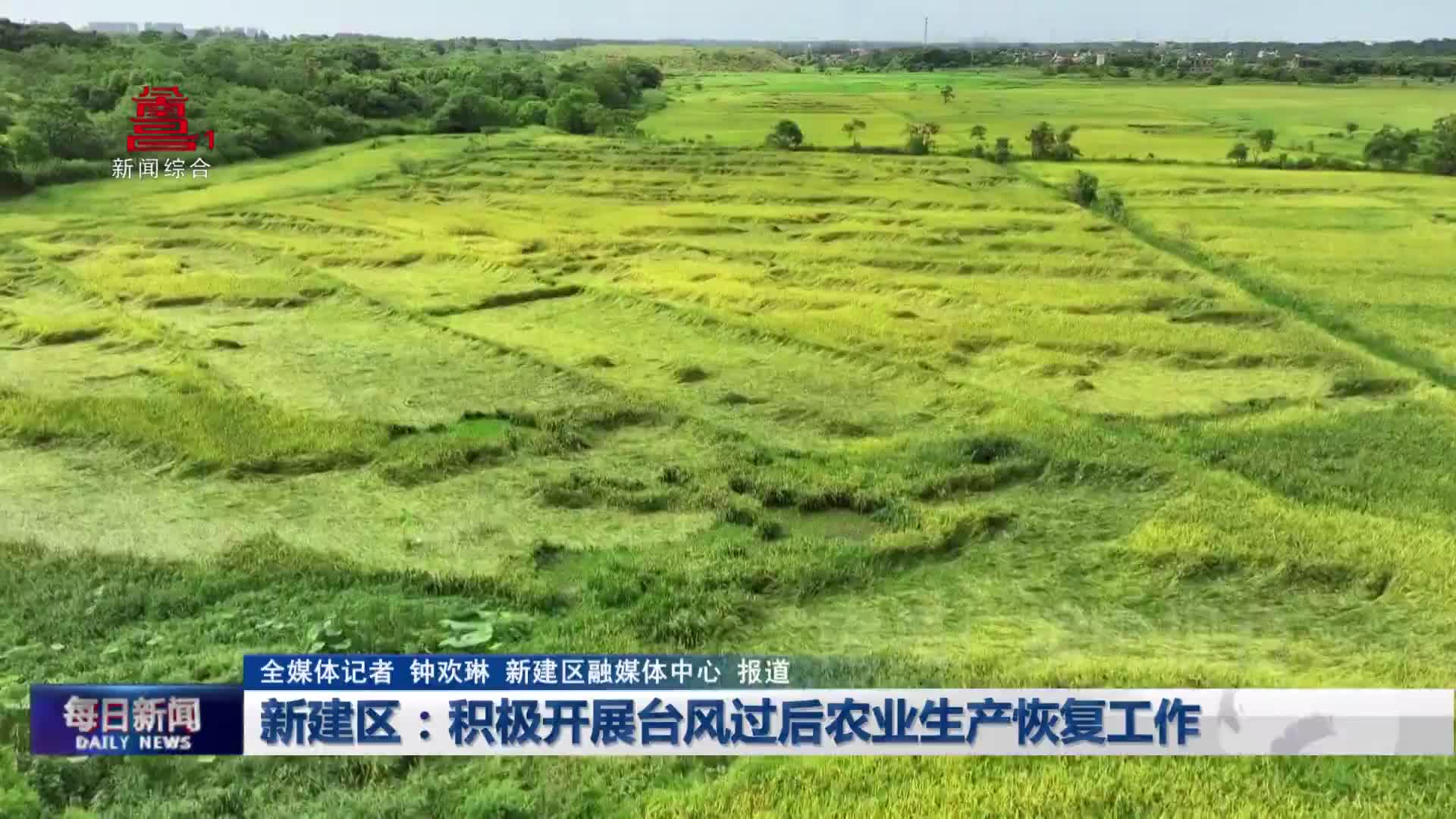 新建区：积极开展台风过后农业生产恢复工作