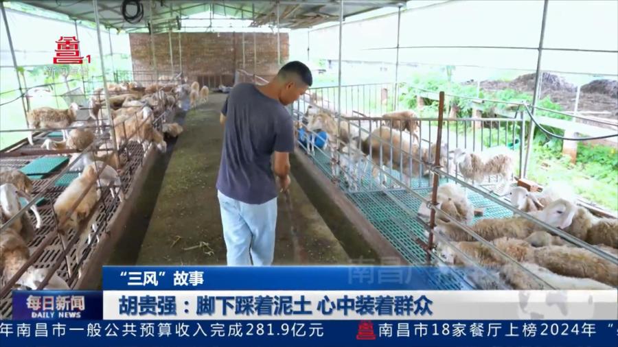 胡贵强：脚下踩着泥土 心中装着群众