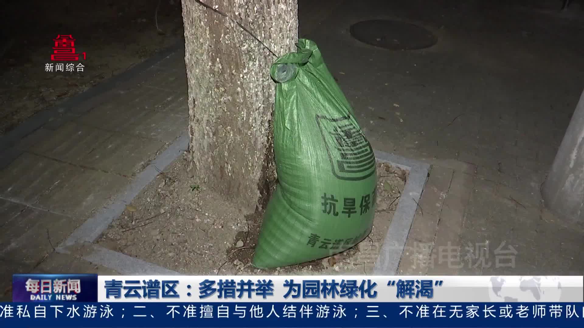青云谱区：多措并举 为园林绿化“解渴”