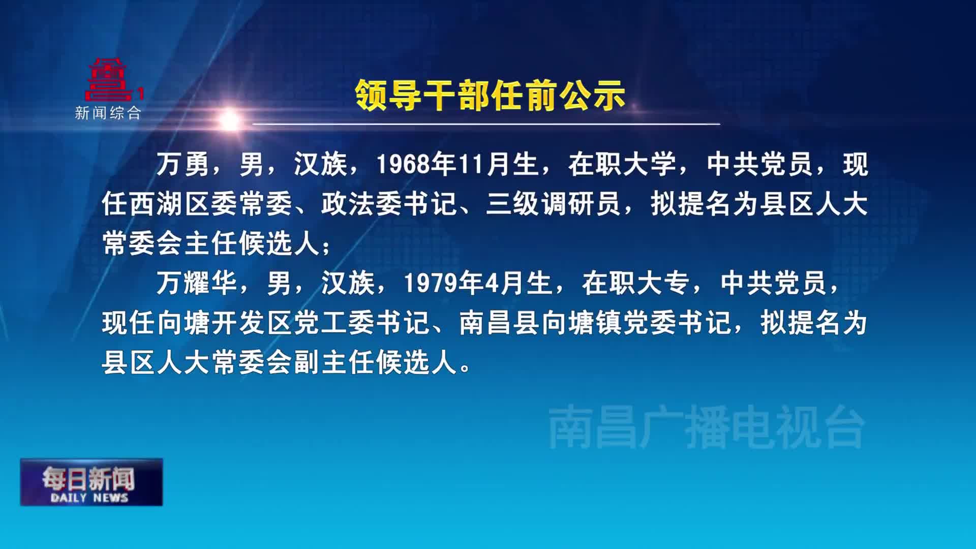 领导干部任前公示