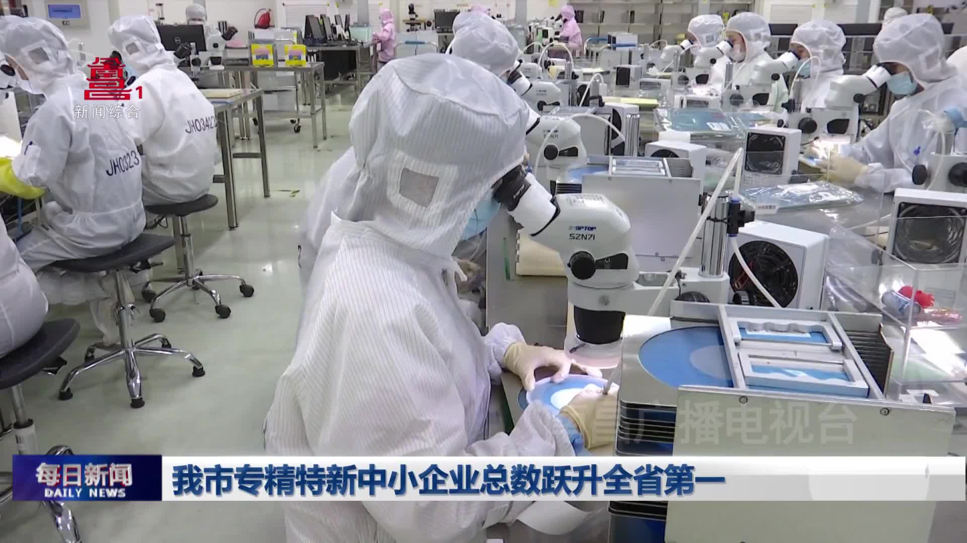 我市专精特新中小企业总数跃升全省第一
