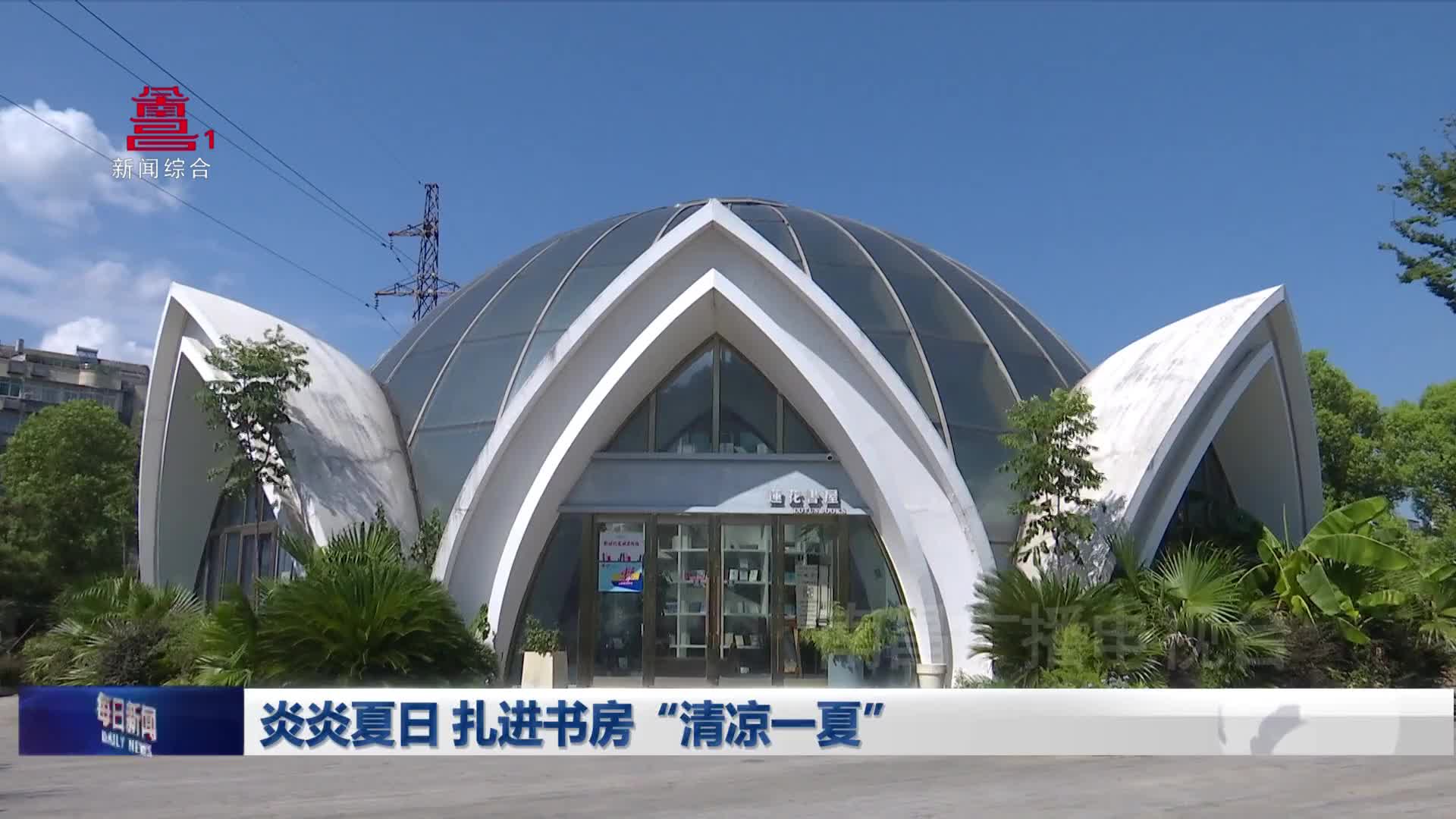 炎炎夏日 扎进书房“清凉一夏”