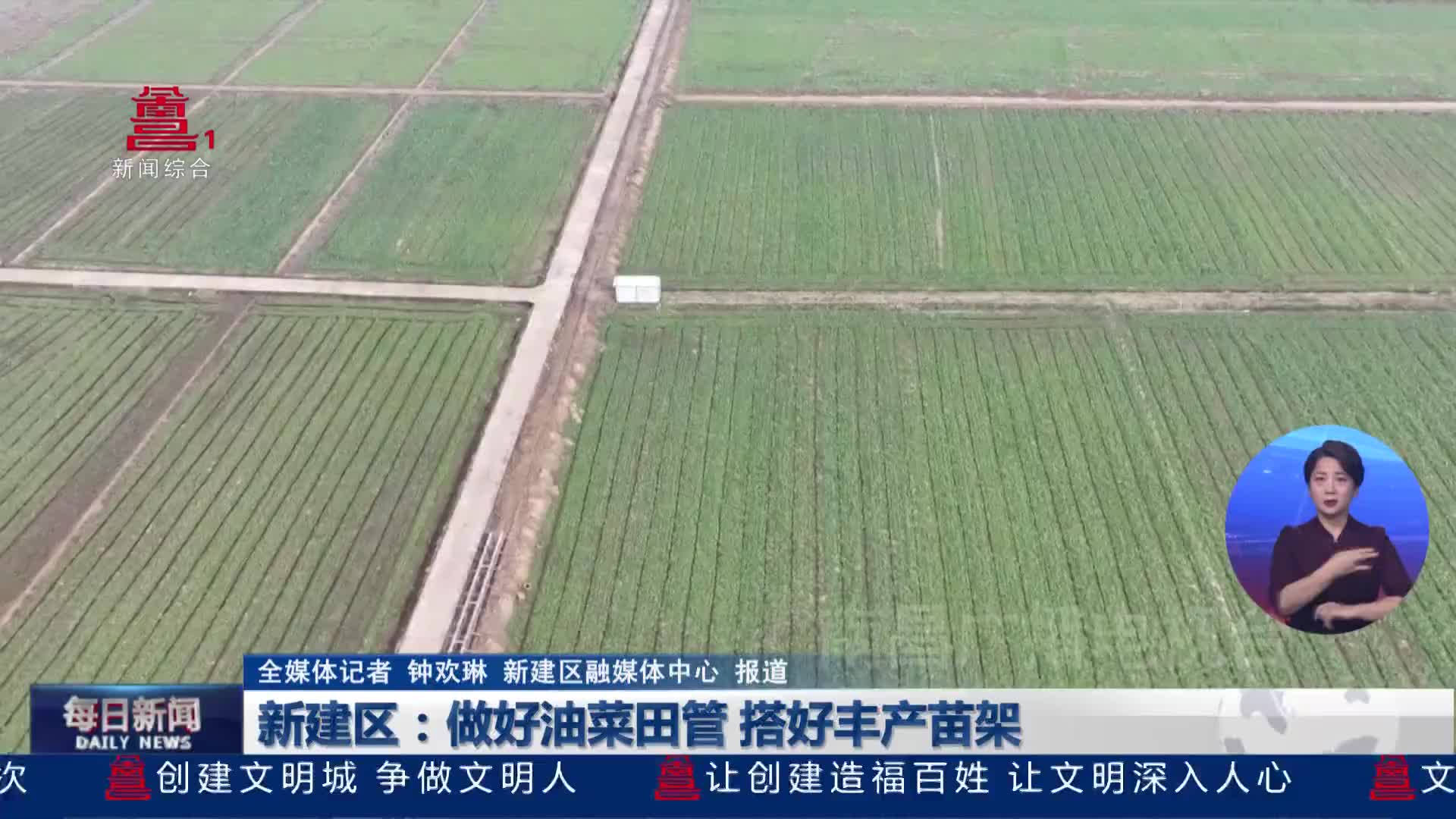 新建区：做好油菜田管 搭好丰产苗架