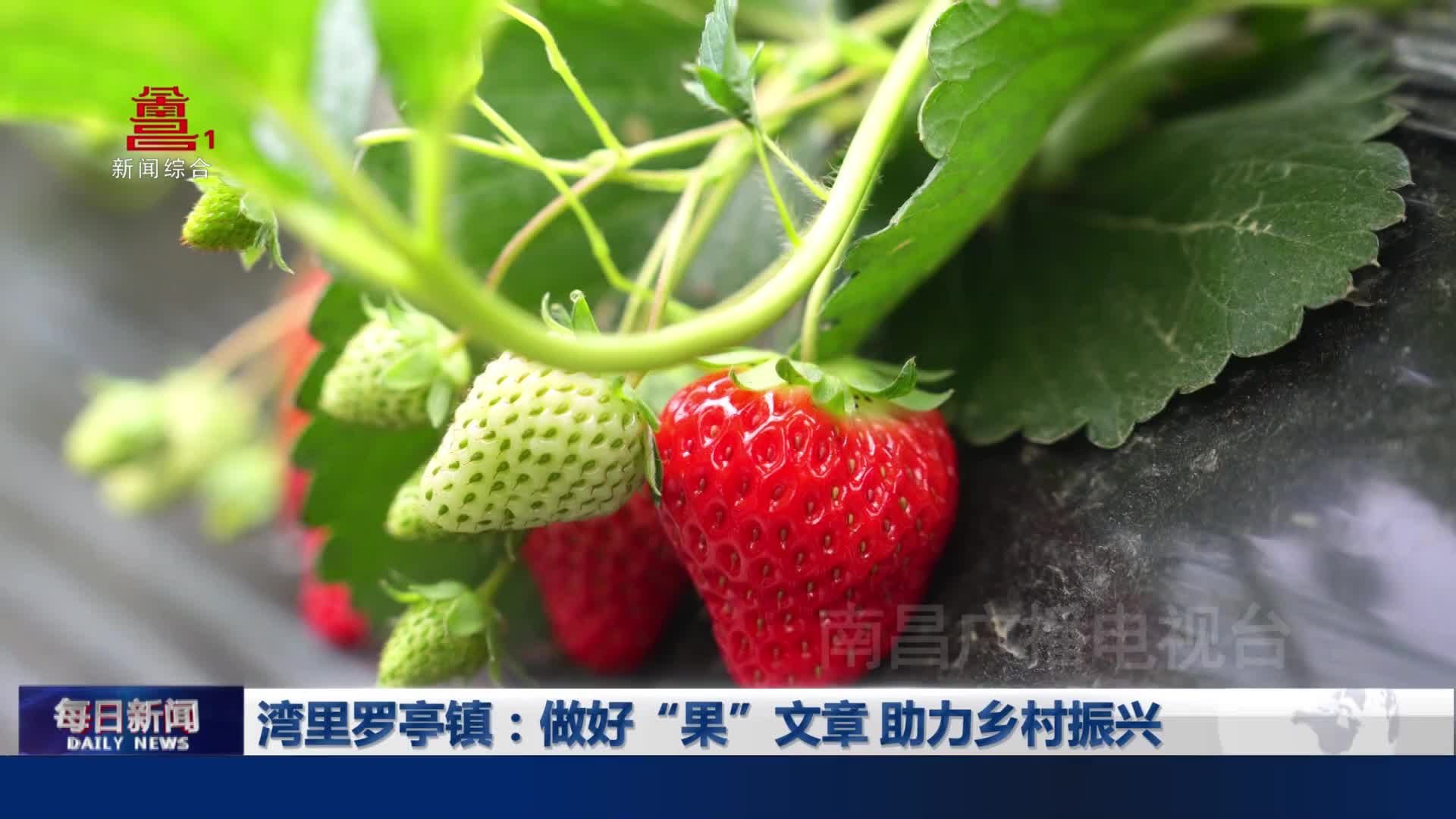 湾里罗亭镇：做好“果”文章 助力乡村振兴