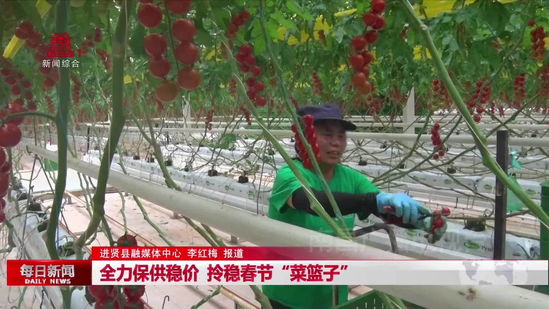 全力保供稳价  拎稳春节“菜篮子”