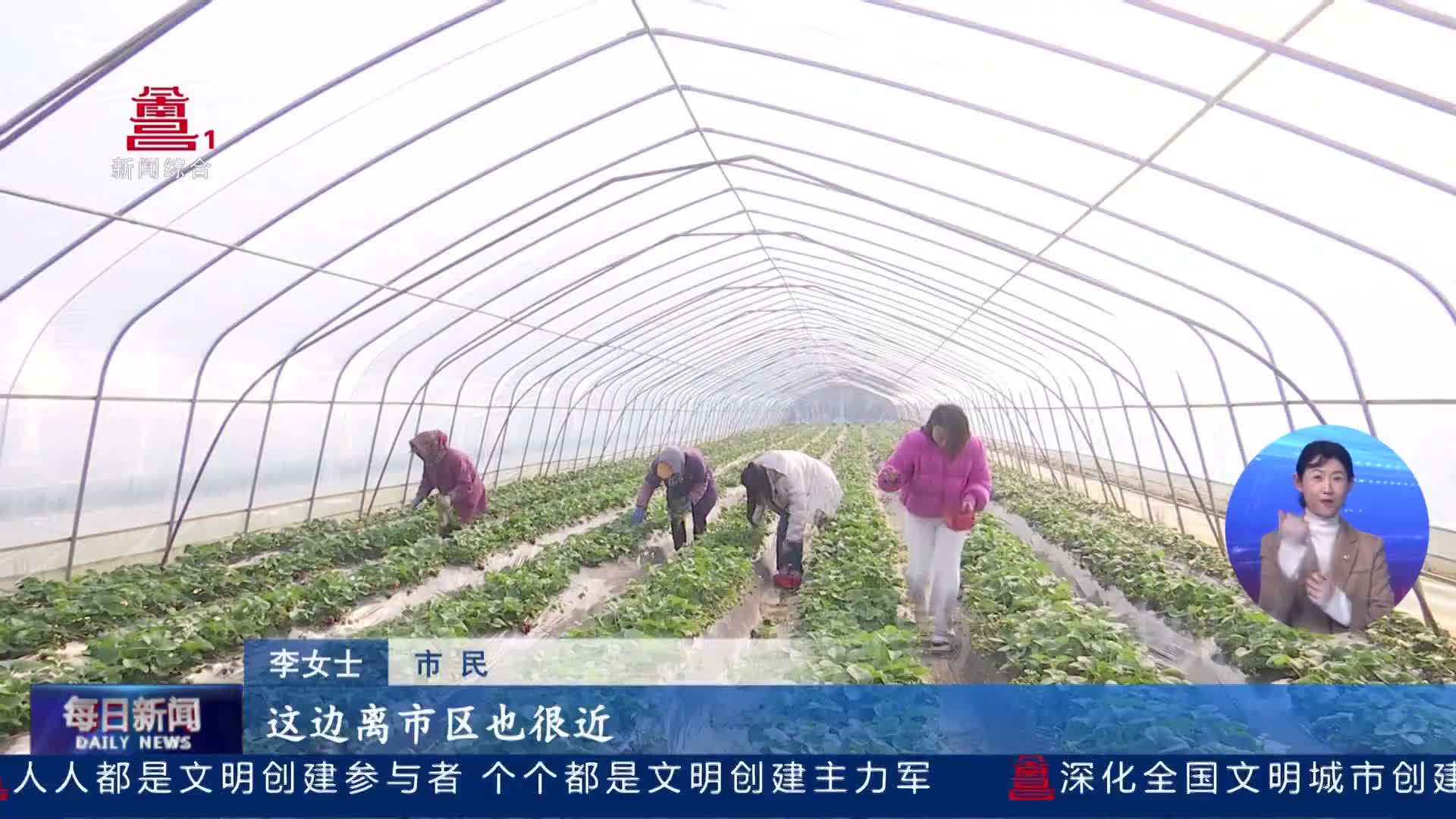 东湖区：草莓红飘香 乡村日子甜