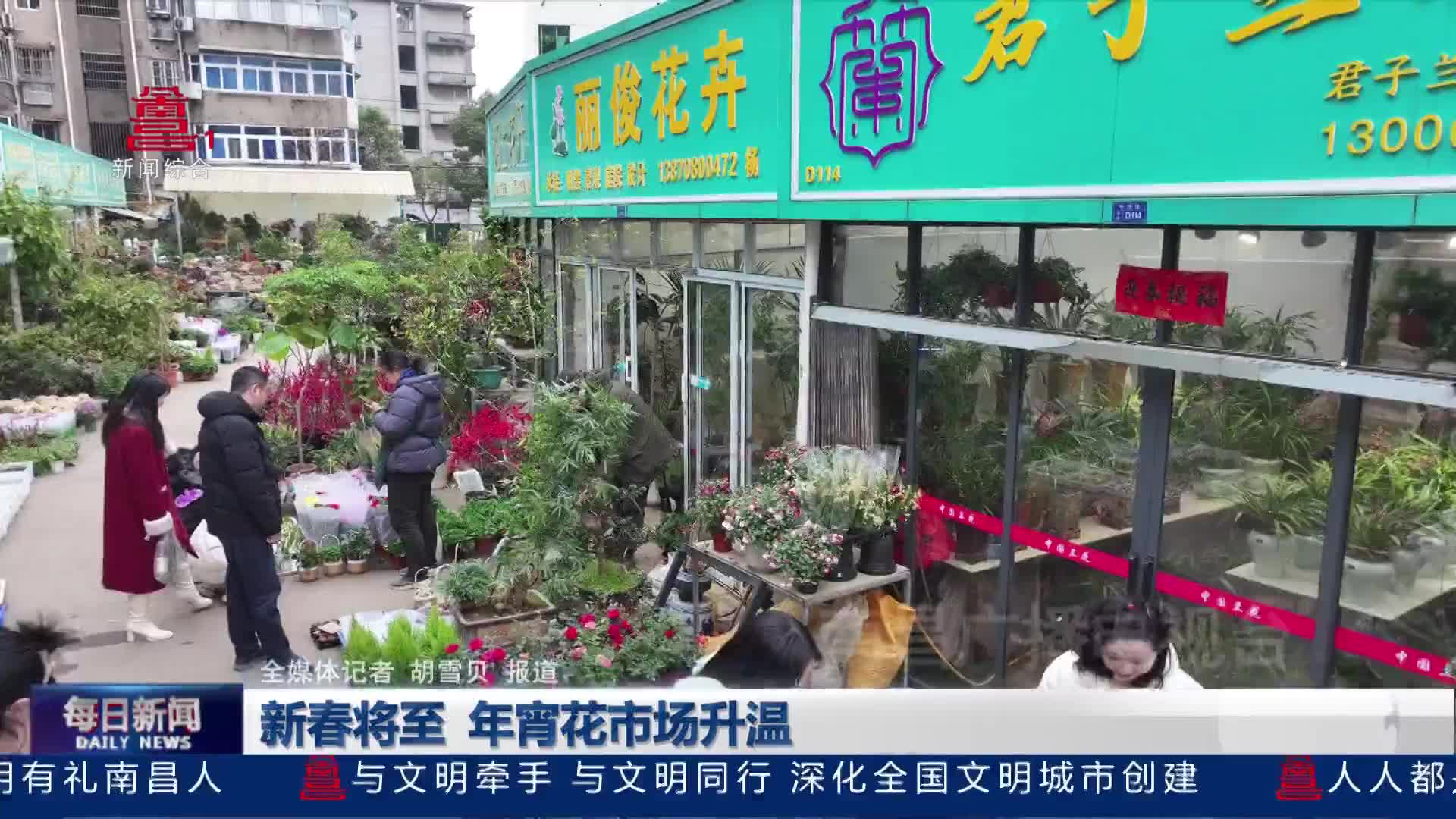 新春将至 年宵花市场升温