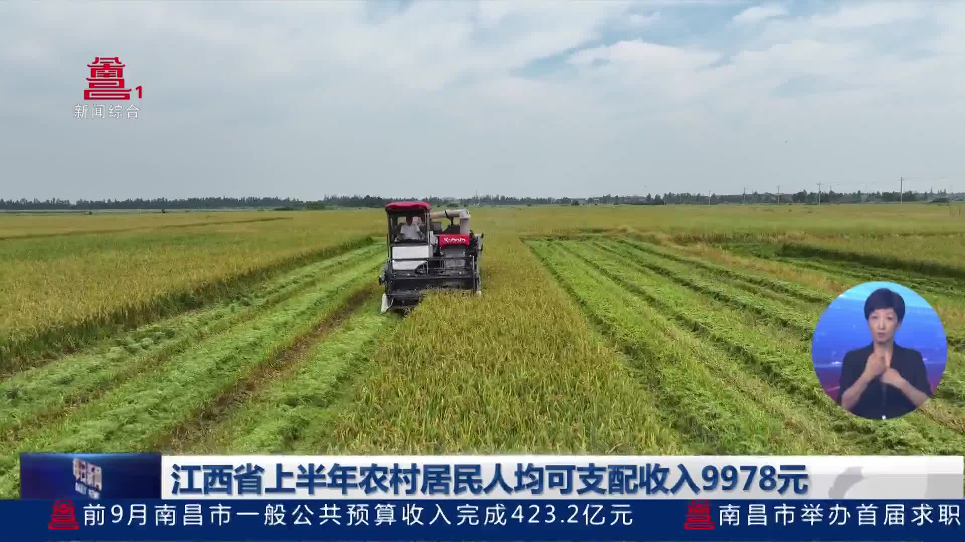 江西省上半年农村居民人均可支配收入9978元