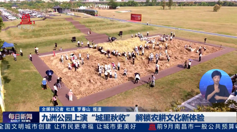 九洲公园上演“城里秋收” 解锁农耕文化新体验