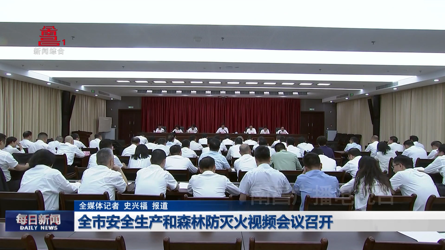 全市安全生产和森林防灭火视频会议召开