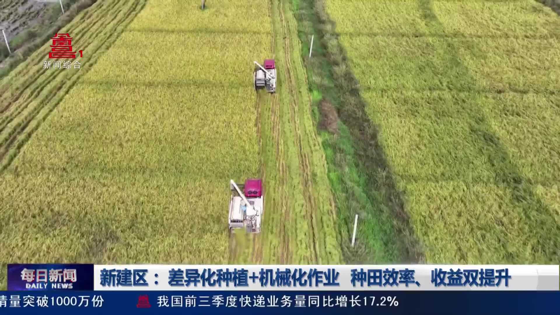 新建区： 差异化种植+机械化作业 种田效率、收益双提升