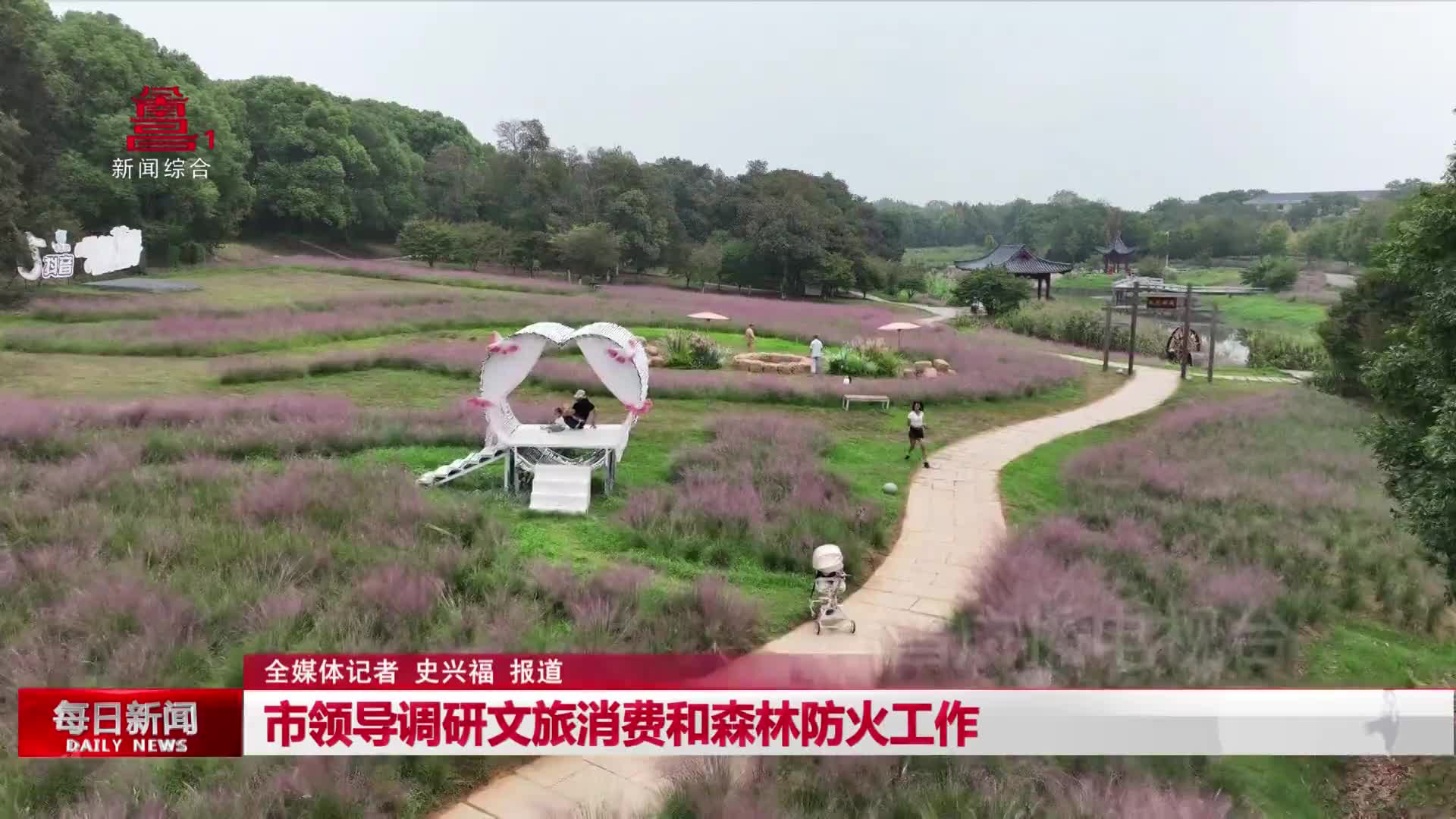 市领导调研文旅消费和森林防火工作 市领导调研文旅消费和森林防火工作