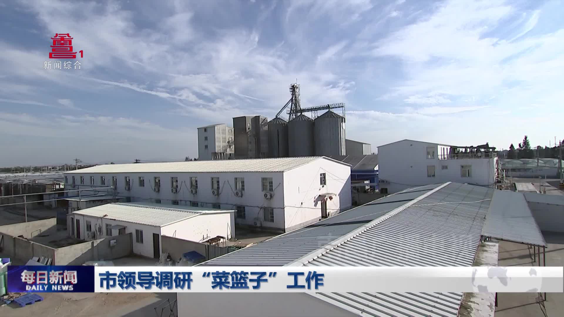 市领导调研“菜篮子”工作