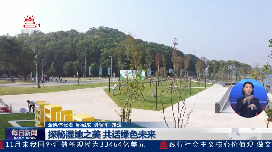 探秘湿地之美 共话绿色未来