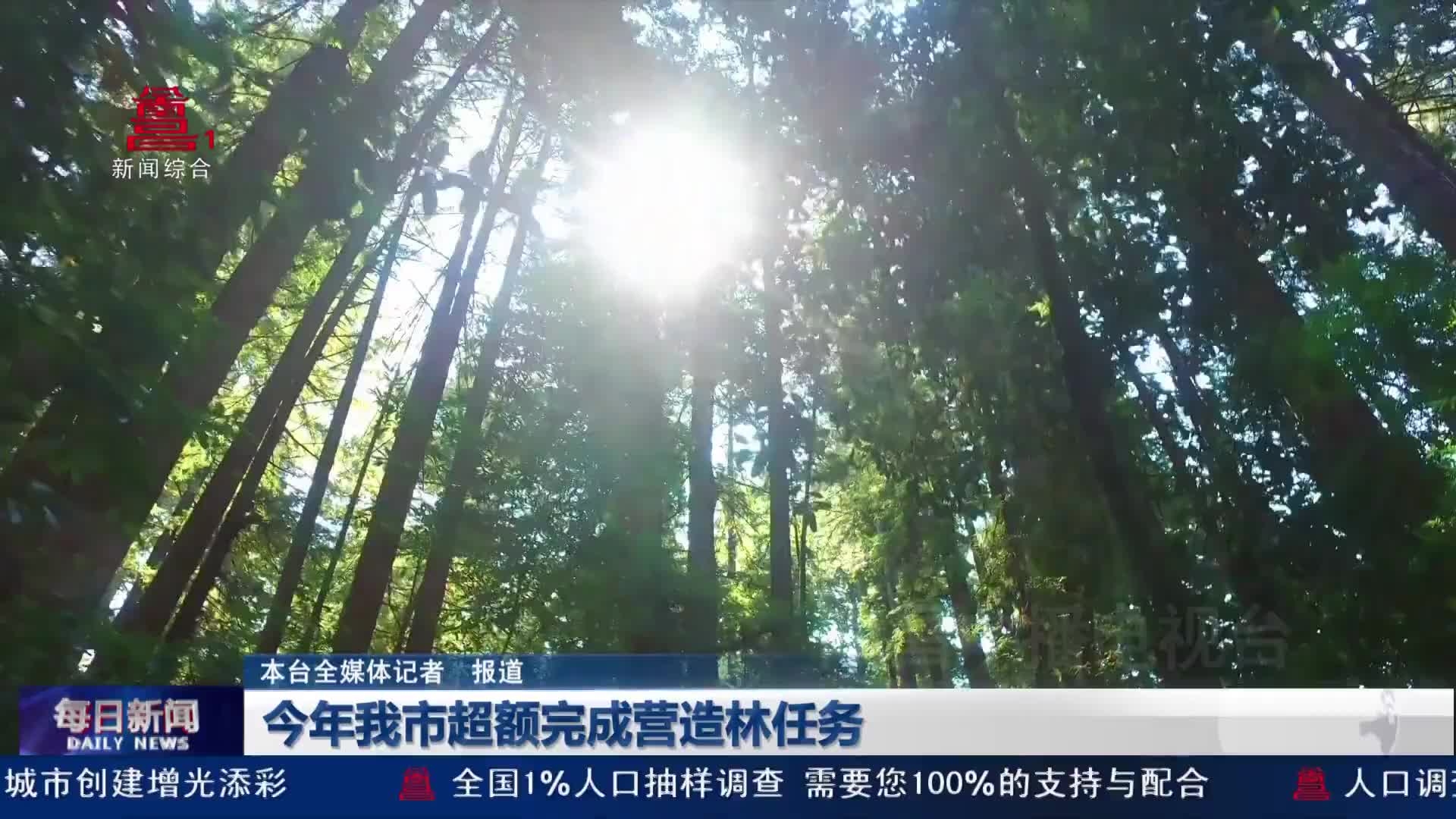 今年我市超额完成营造林任务