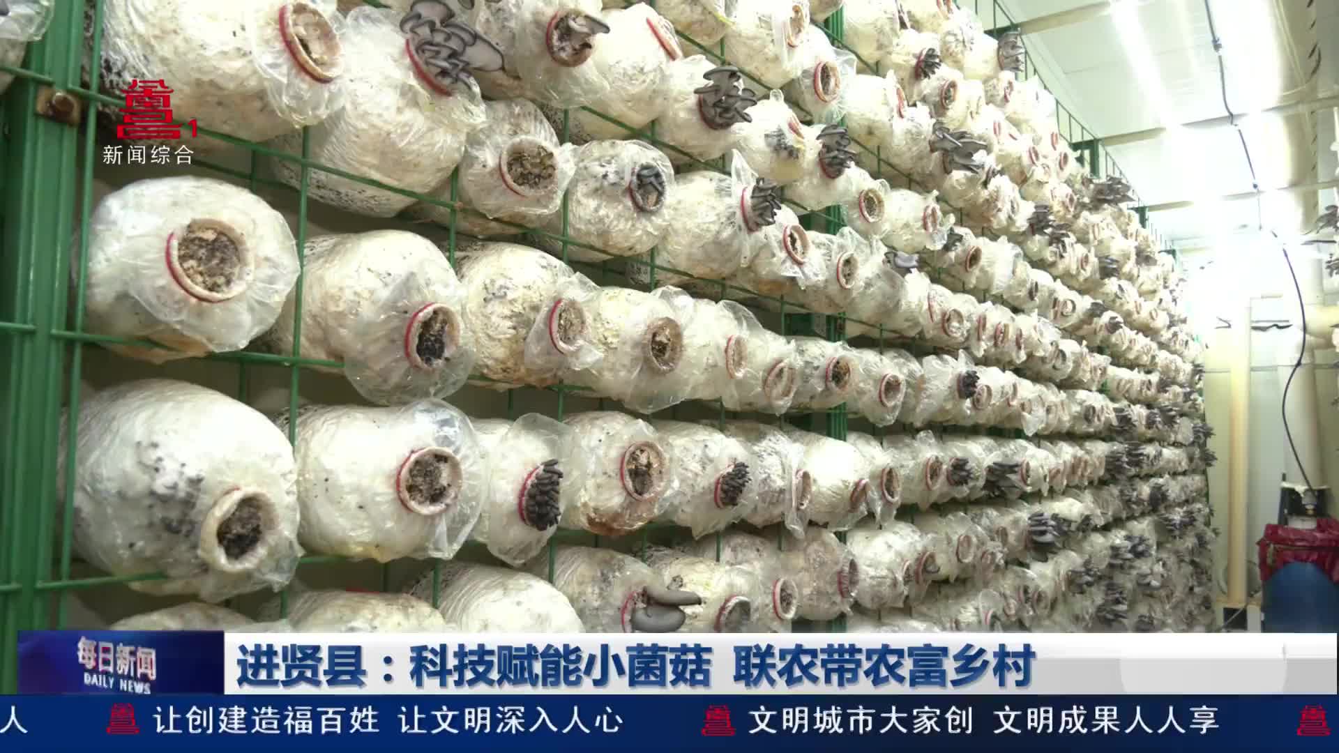 进贤县：科技赋能小菌菇  联农带农富乡村