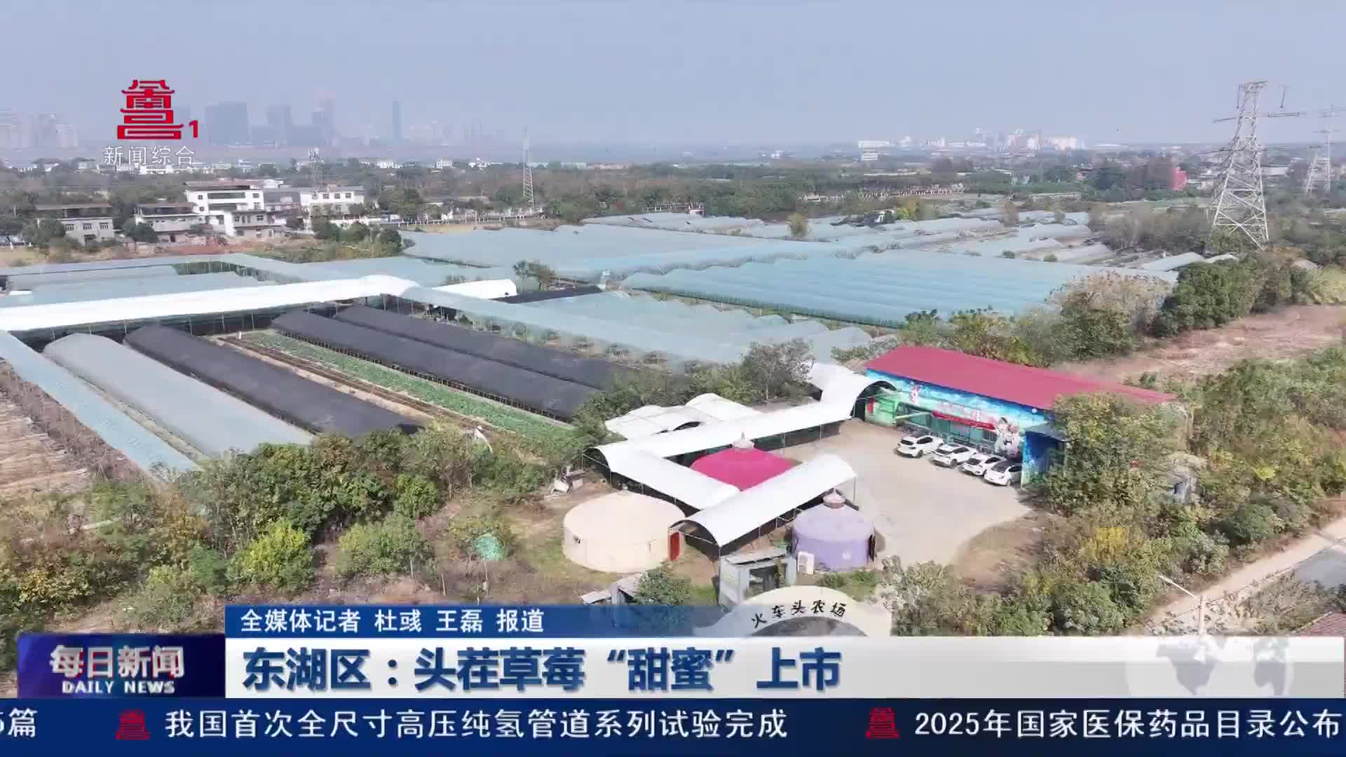 东湖区：头茬草莓“甜蜜”上市