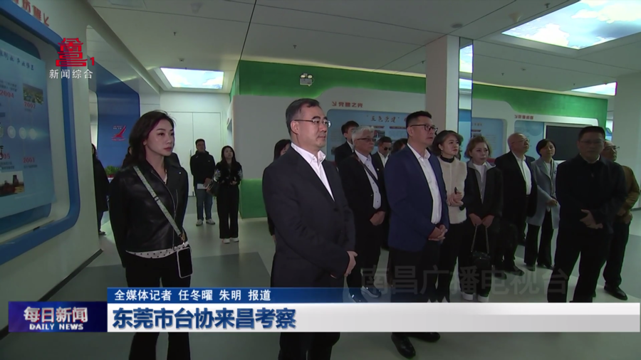 东莞市台协来昌考察