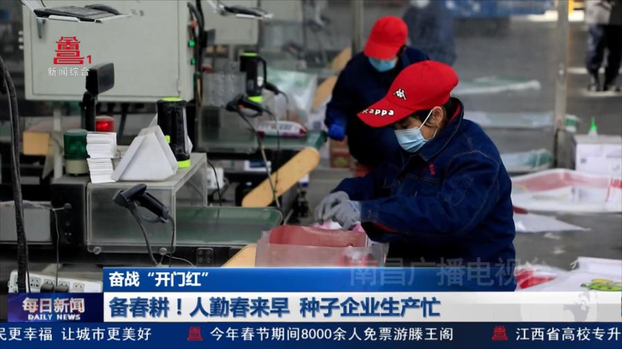 备春耕！人勤春来早 种子企业生产忙