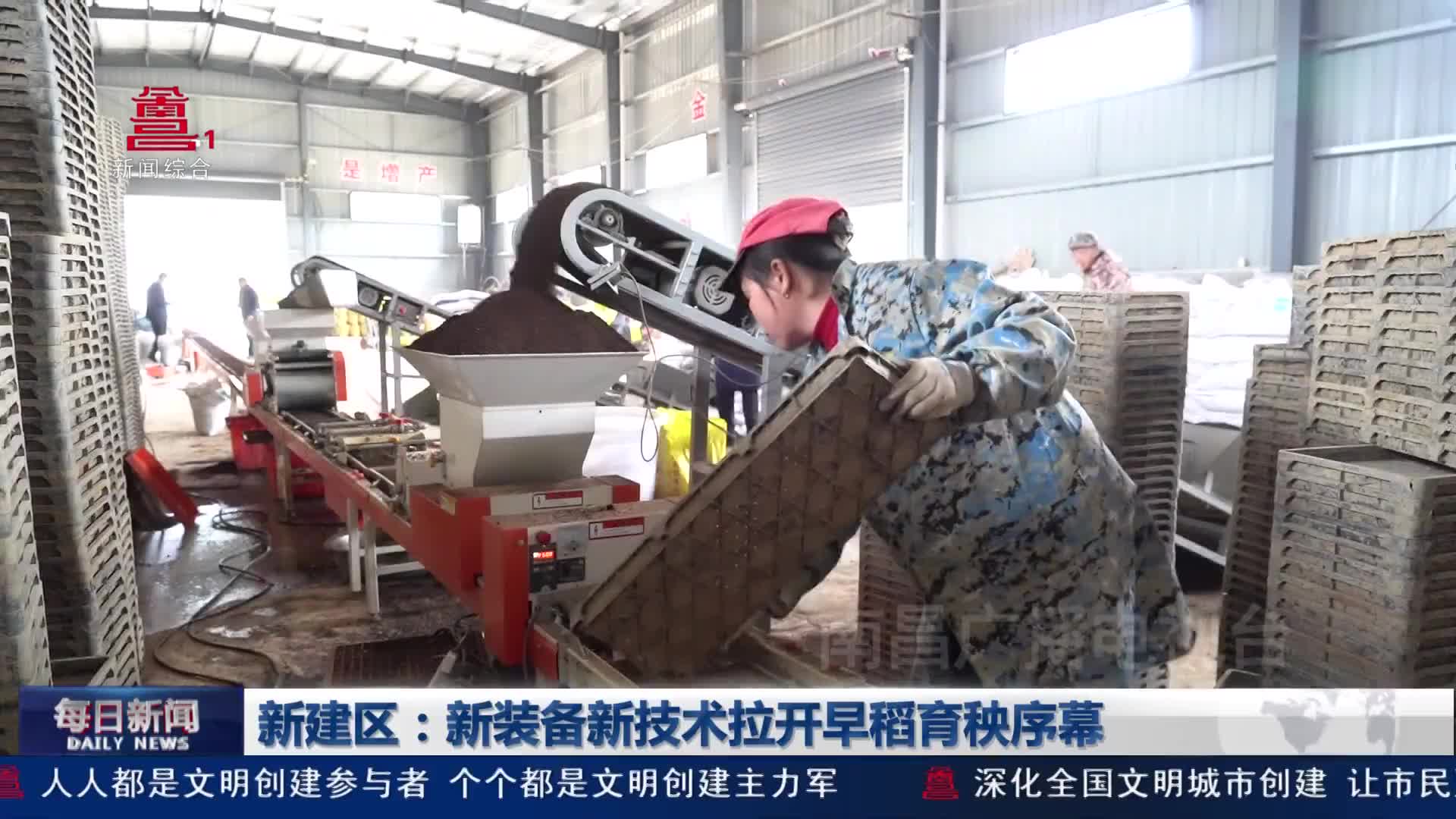新建区：新装备新技术拉开早稻育秧序幕 