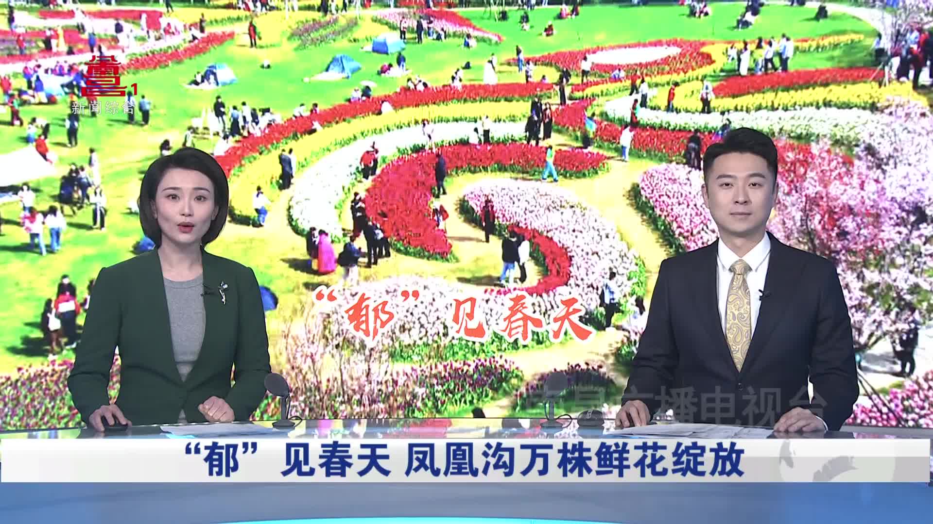 “郁”见春天 凤凰沟万株鲜花绽放
