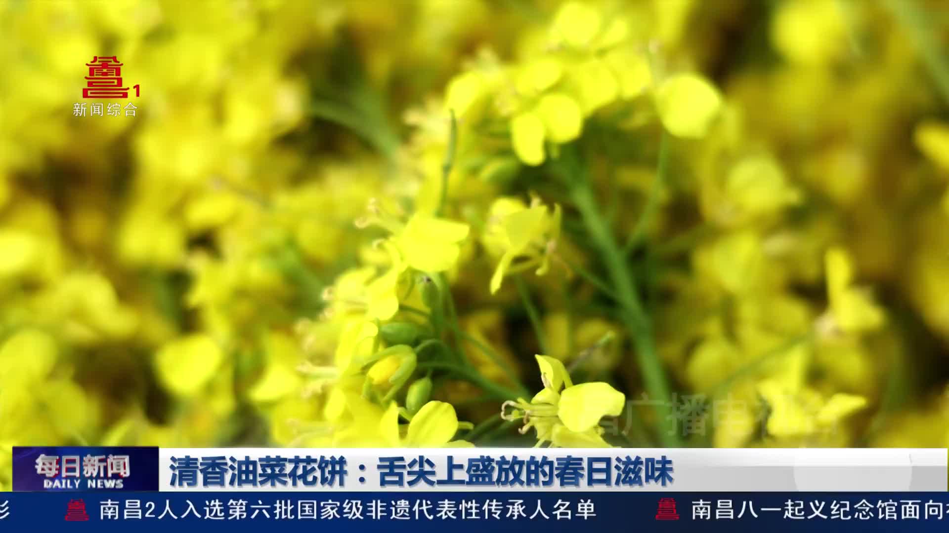 清香油菜花饼：舌尖上盛放的春日滋味