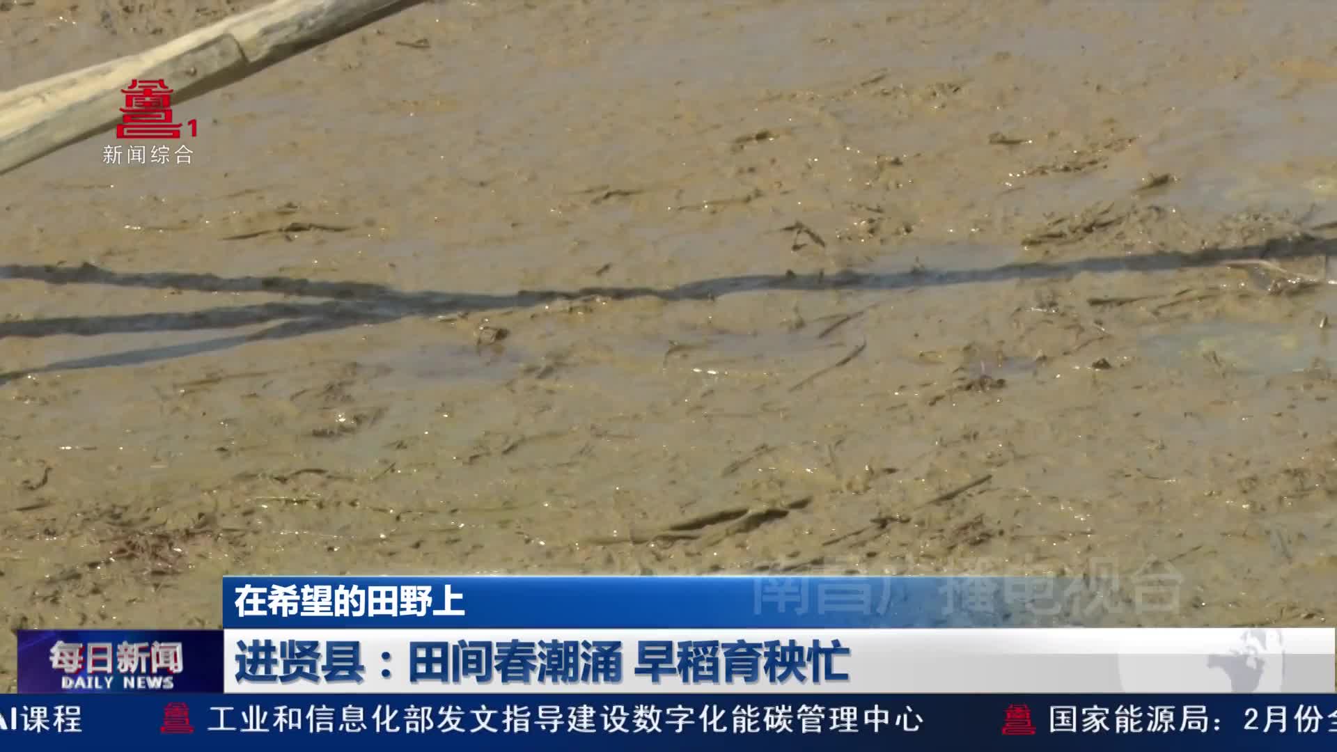 进贤县：田间春潮涌 早稻育秧忙