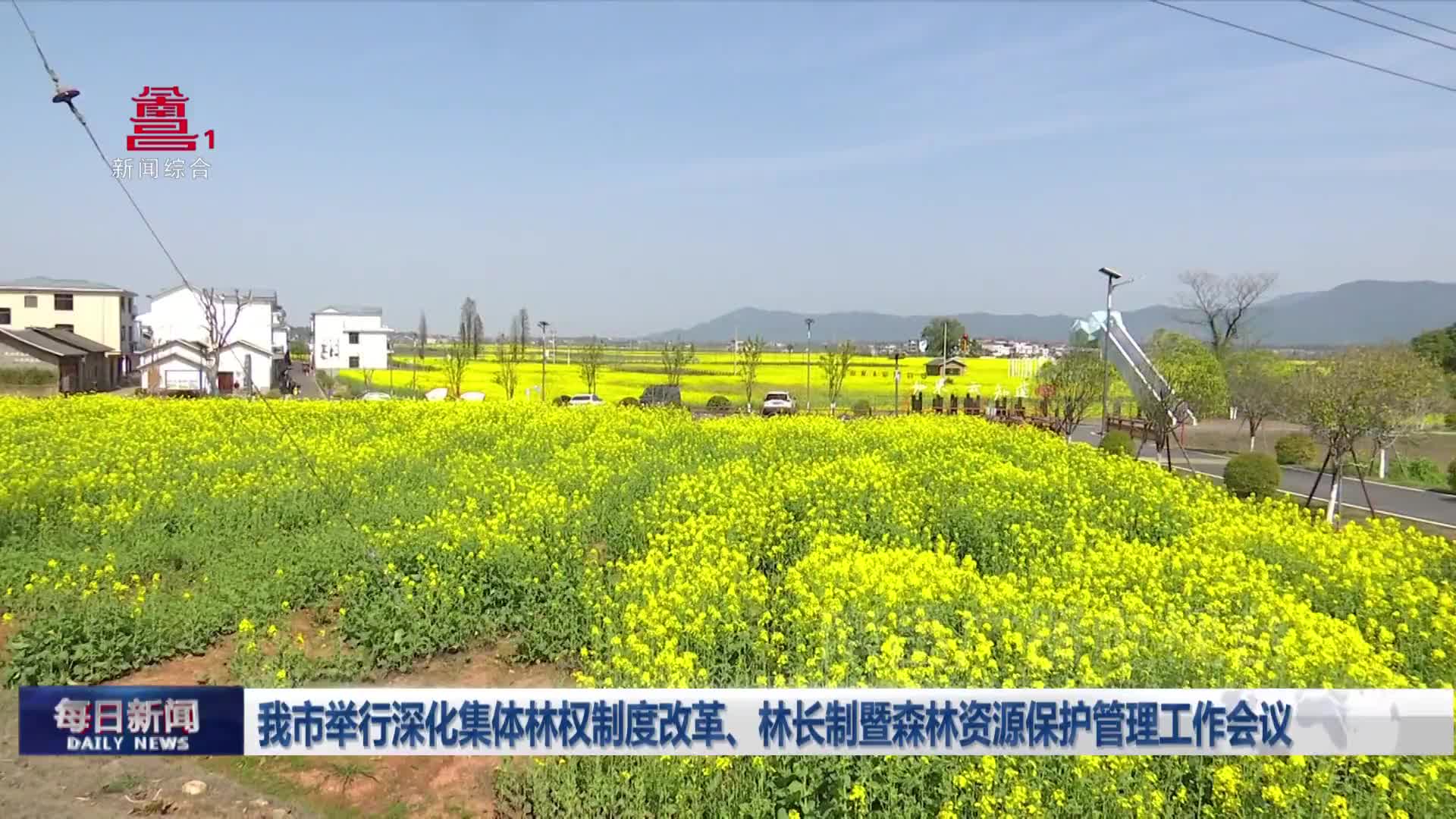 我市举行深化集体林权制度改革、林长制暨森林资源保护管理工作会议