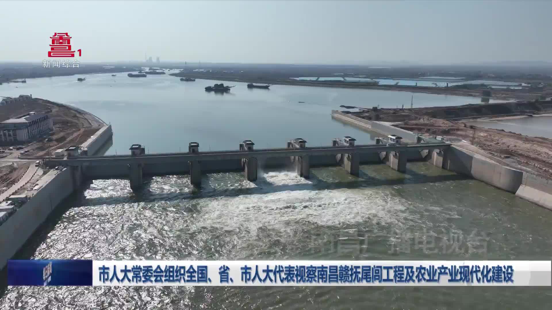 市人大常委会组织全国、省、市人大代表视察南昌赣抚尾闾工程及农业产业现代化建设