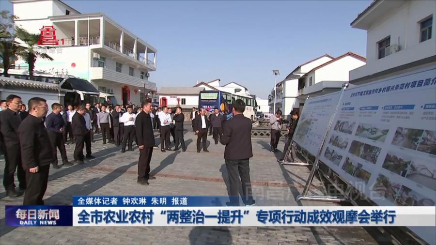 全市农业农村“两整治一提升”专项行动成效观摩会举行