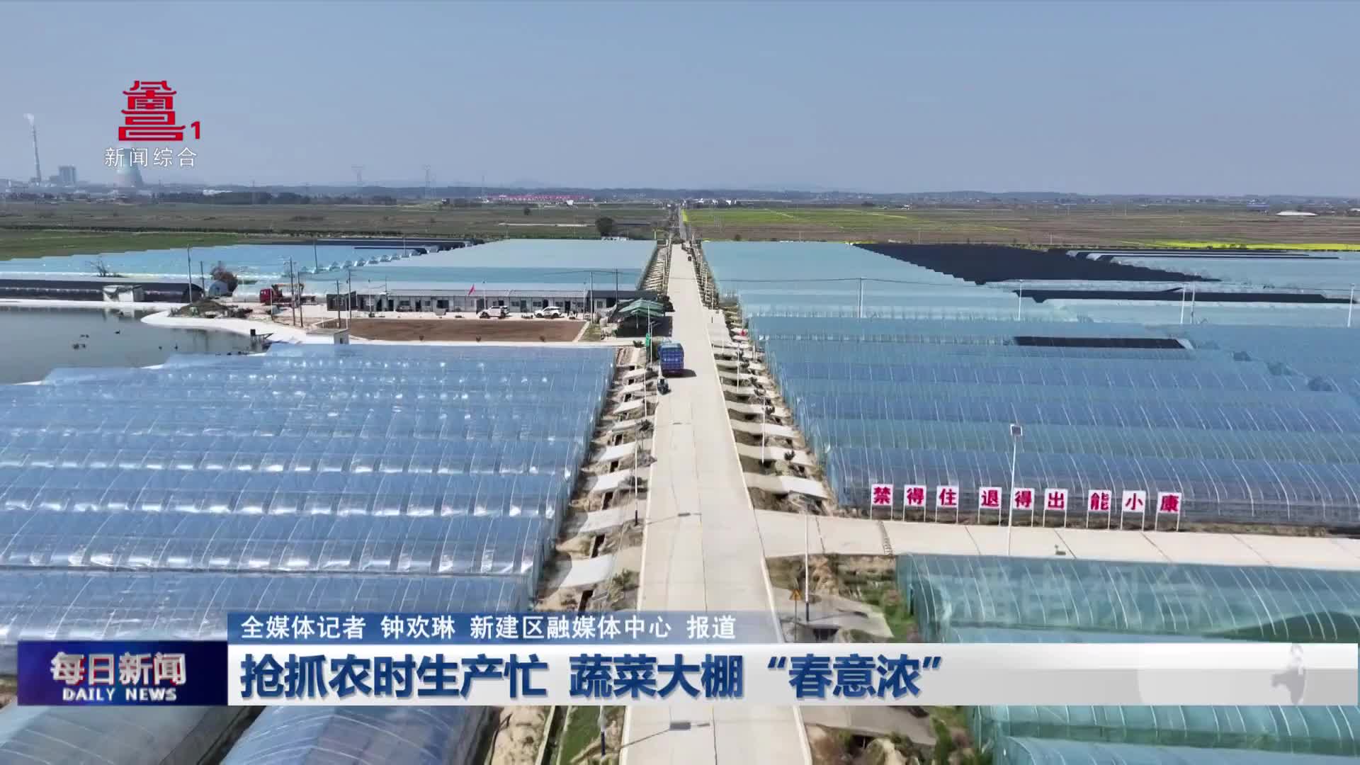 抢抓农时生产忙  蔬菜大棚“春意浓”
