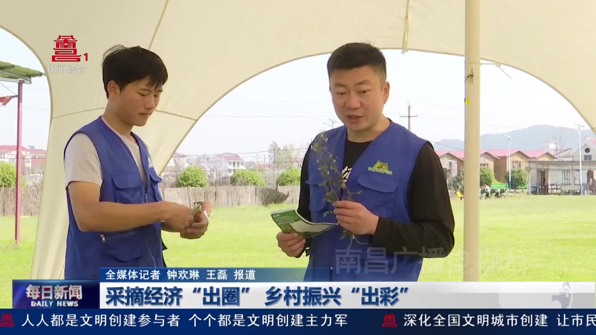 采摘经济“出圈” 乡村振兴“出彩”