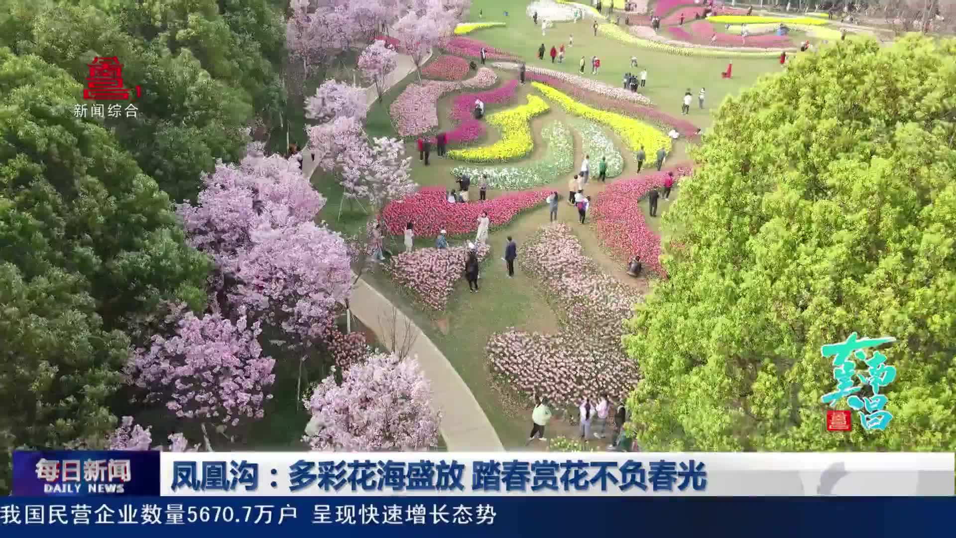 凤凰沟：多彩花海盛放 踏春赏花不负春光