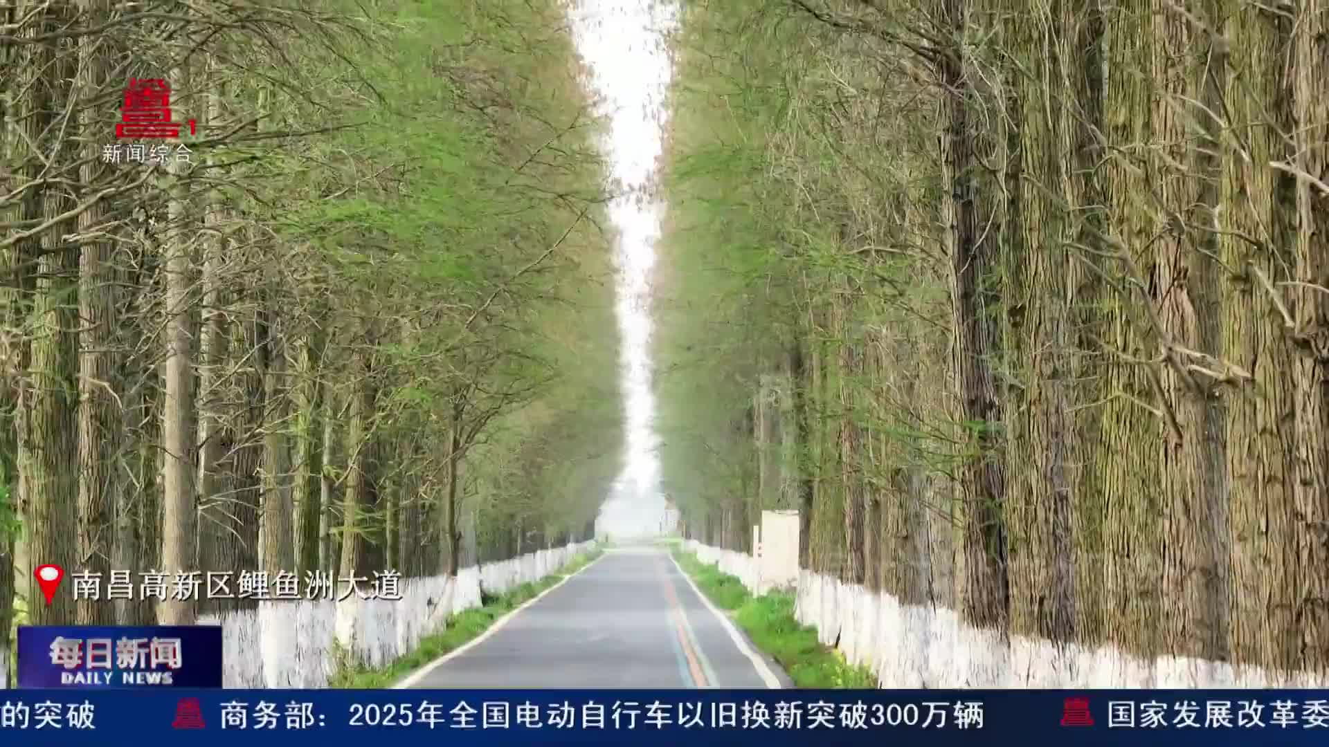 绿野长廊 藏四季浪漫